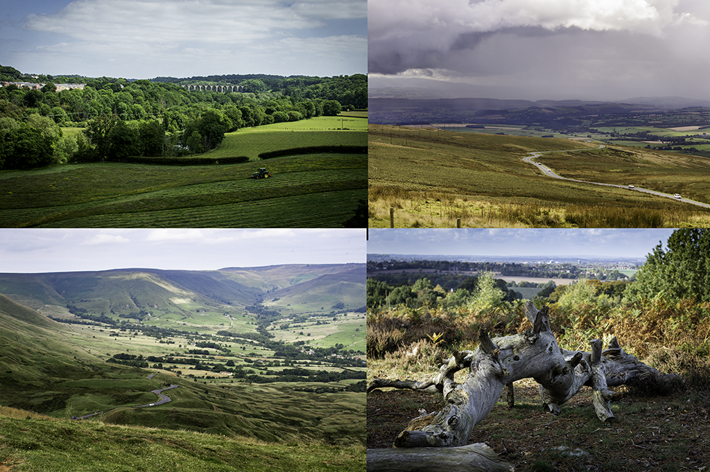 Landscapes