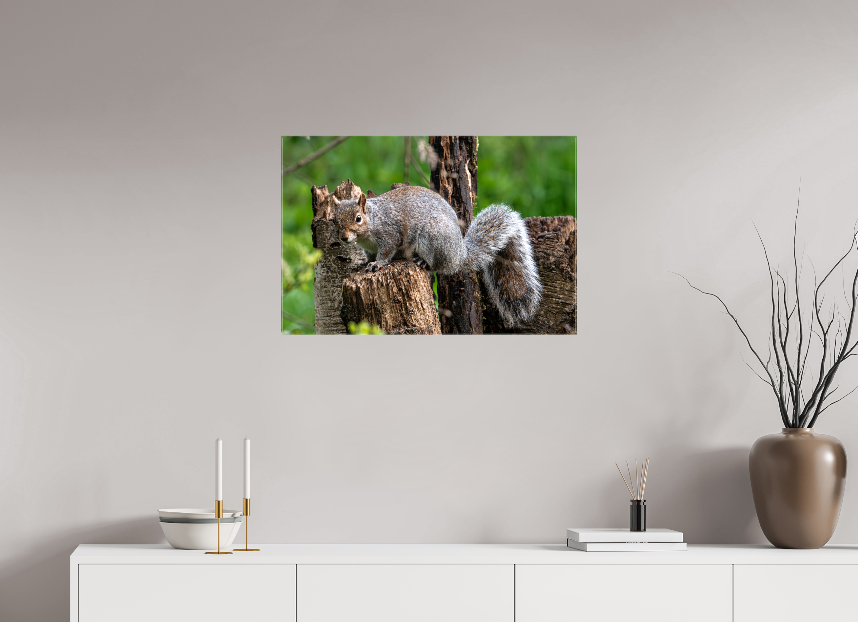 75 x 50 cm, Glossy Canvas On Stretcher Frame Grey Squirrel