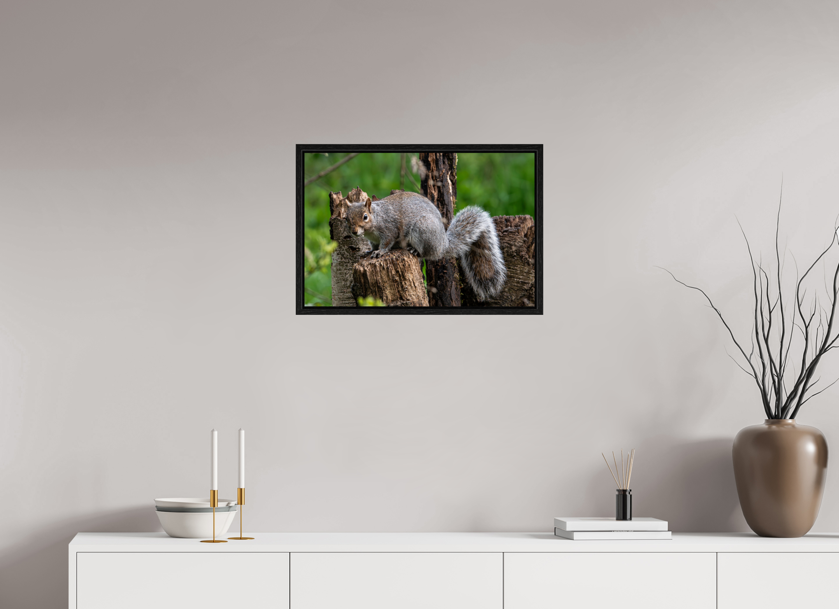 60 x 40 cm, Floater Frame Grey Squirrel