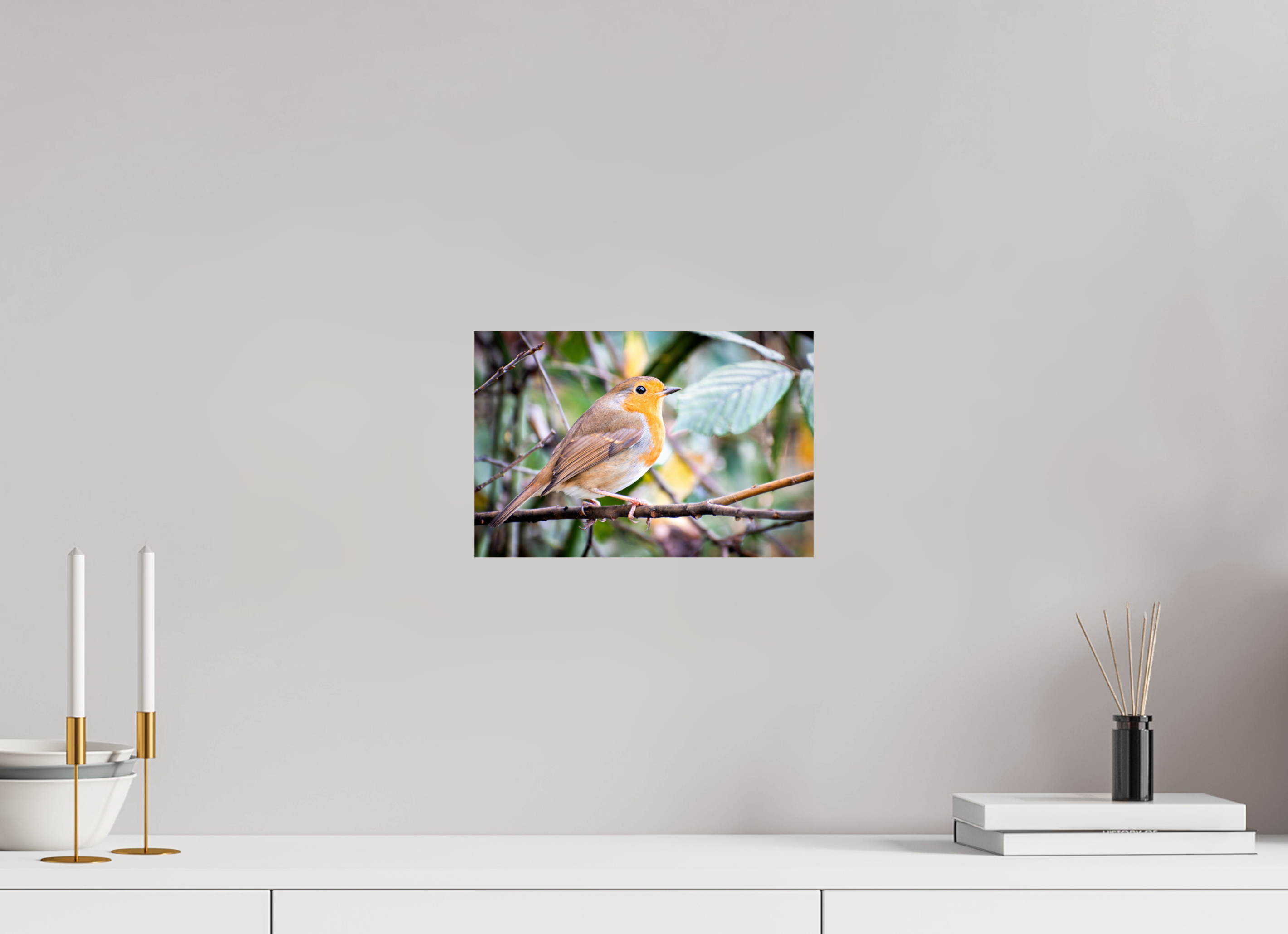 30 x 20 cm, Photo Print On Fuji Crystal DP II Robin