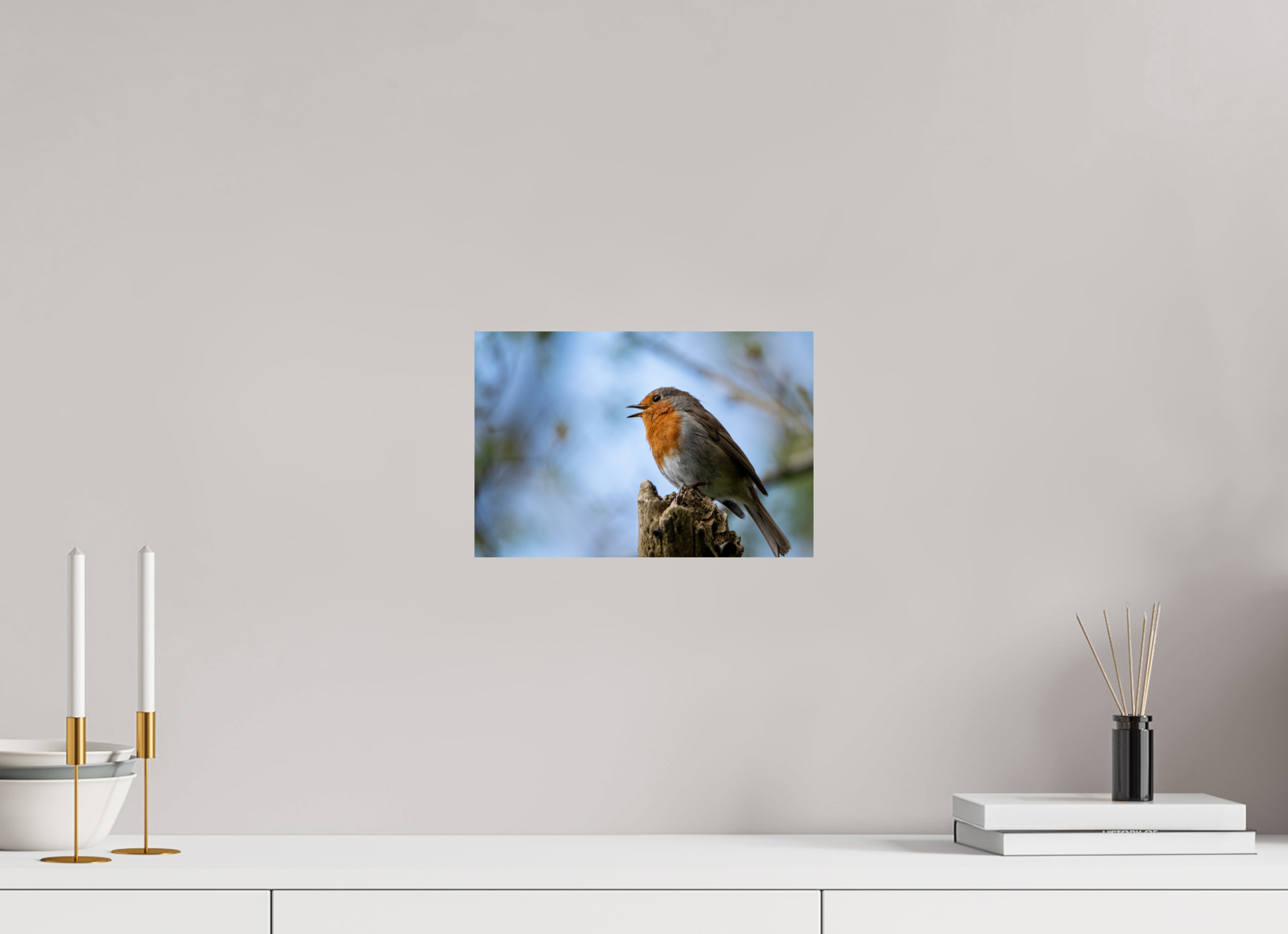 30 x 20 cm, Photo Print On Fuji Crystal DP II Singing Robin