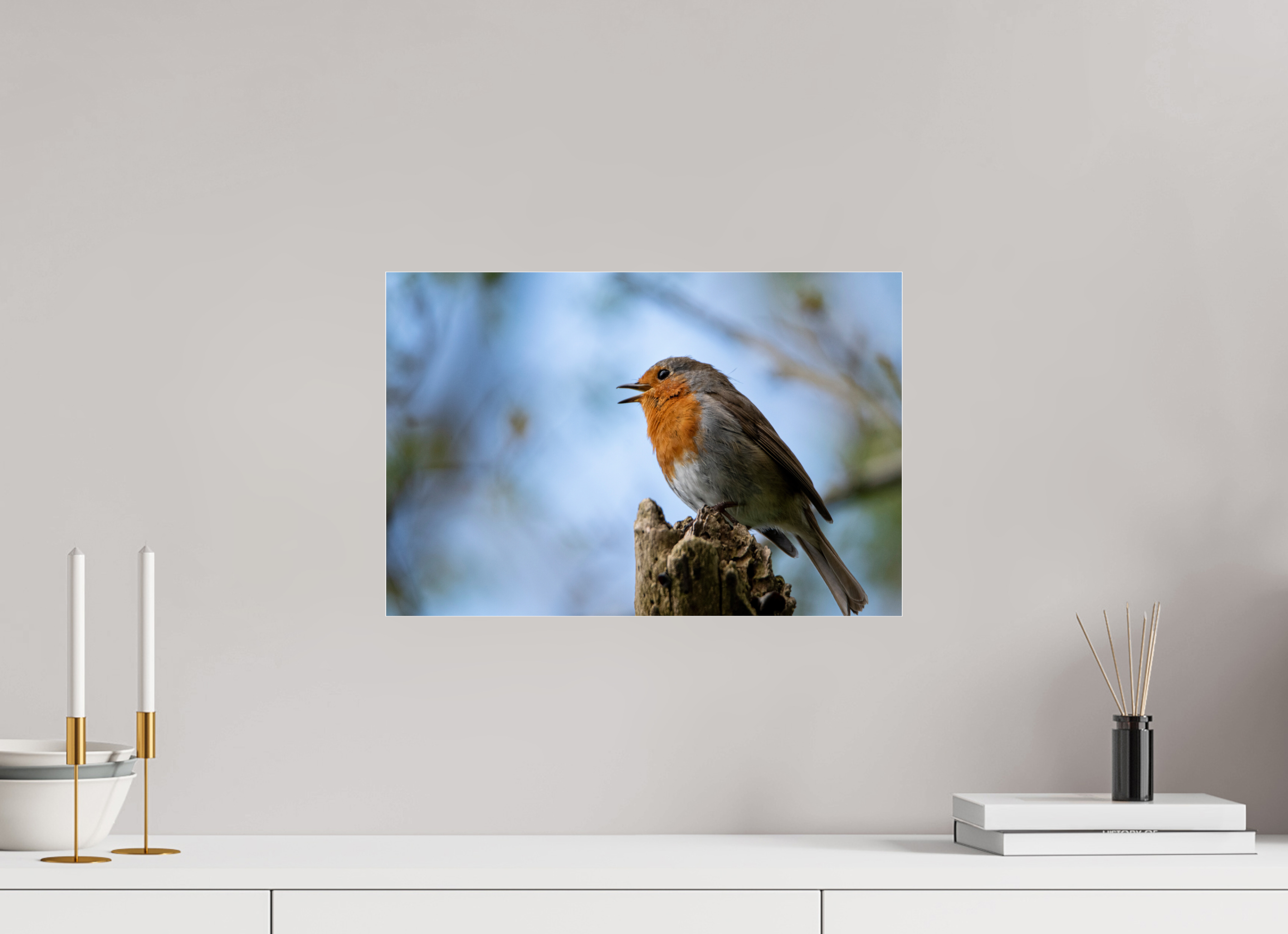 45 x 30 cm, Photo Print Under Acrylic Glass Singing Robin