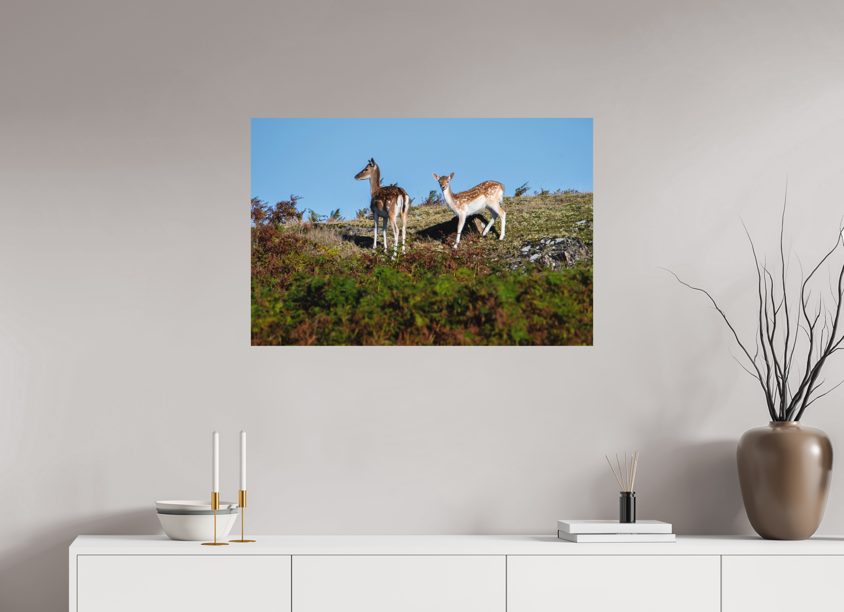 90 x 60 cm, Photo Print Fuji Crystal DP II Matte Fallow Deer on Hillside