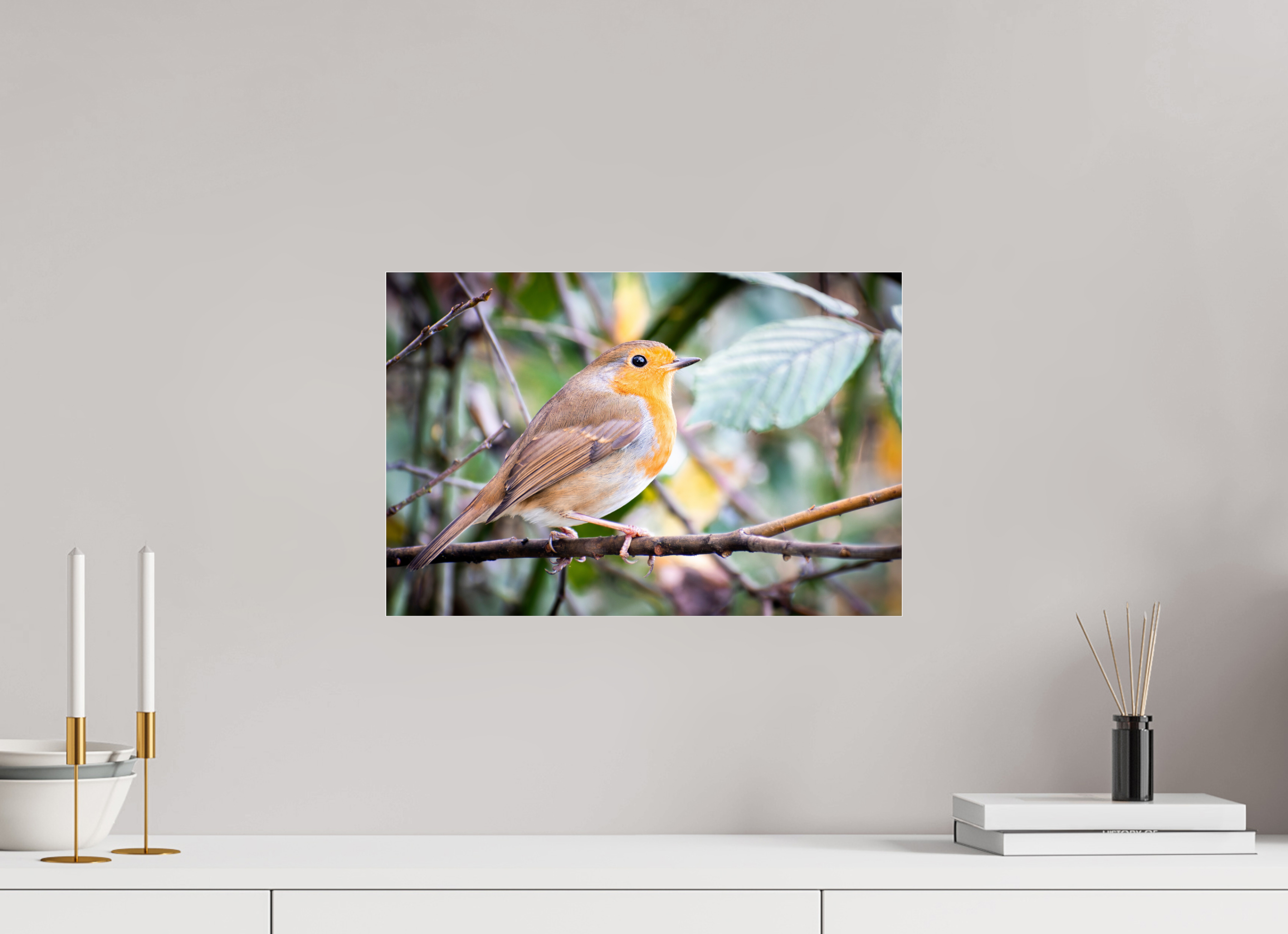 45 x 30 cm, Photo Print Under Acrylic Glass Robin