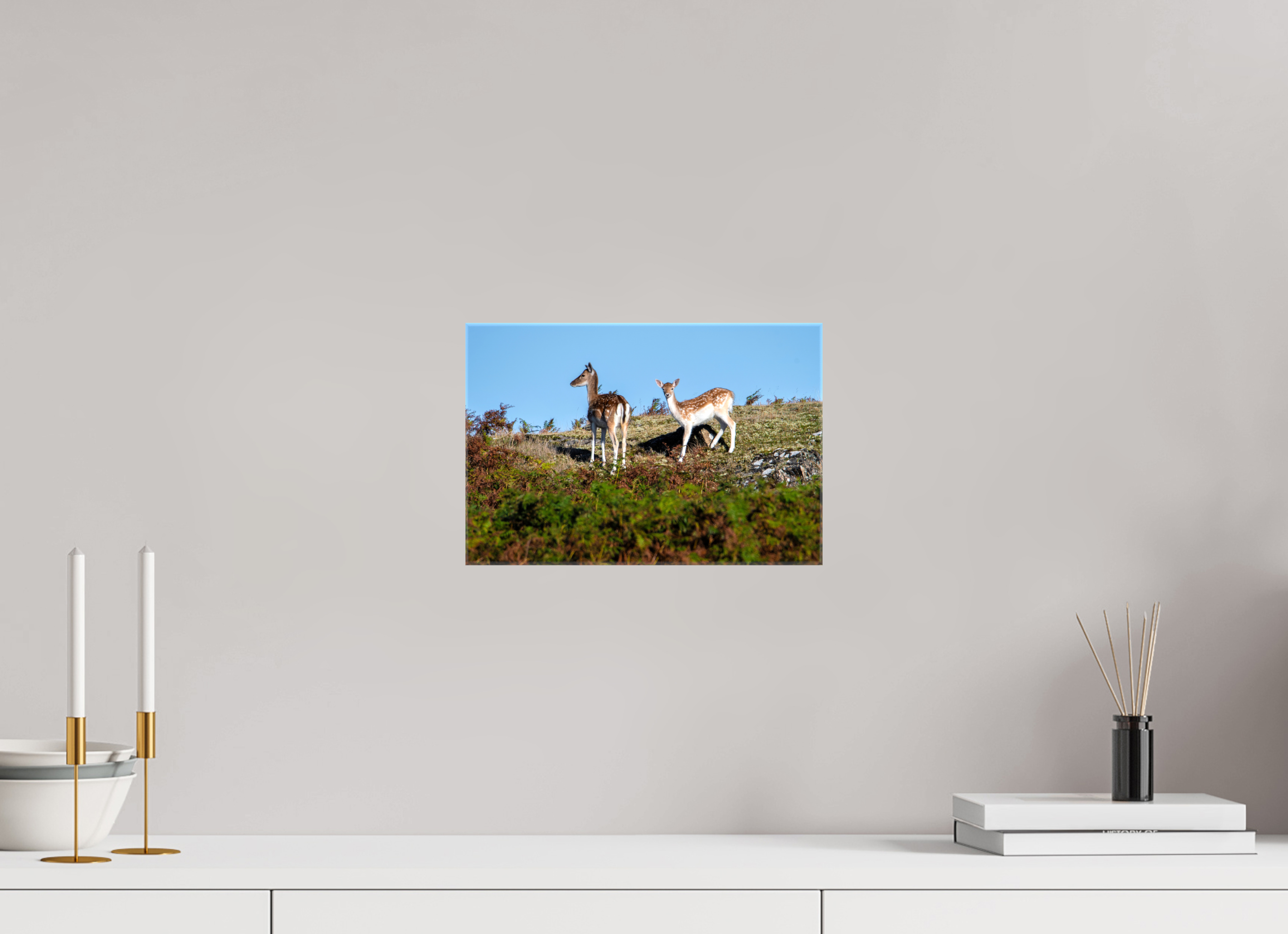 30 x 20 cm, Glossy Canvas On Stretcher Frame Fallow Deer on Hillside