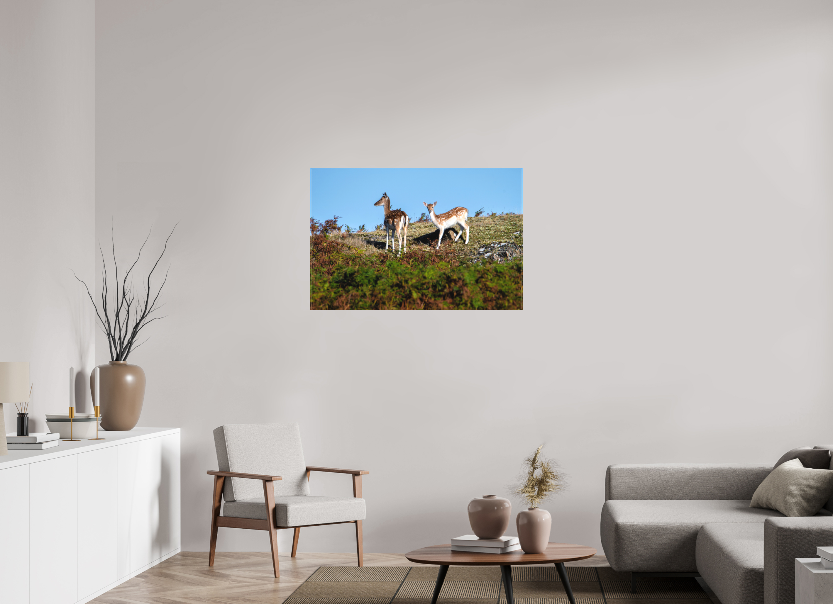 105 x 70 cm, Matte Canvas on Stretcher Frame Fallow Deer on Hillside