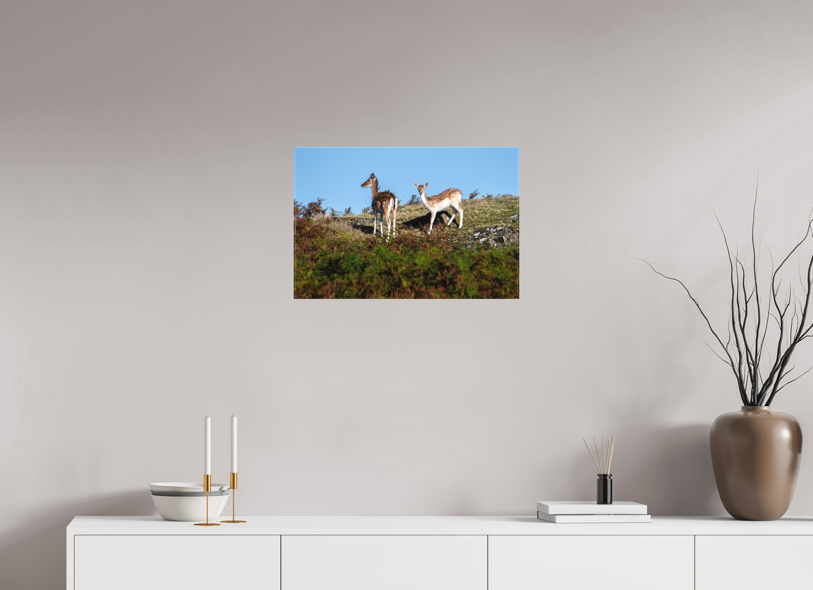 60 x 40 cm, Matte Canvas on Stretcher Frame Fallow Deer on Hillside