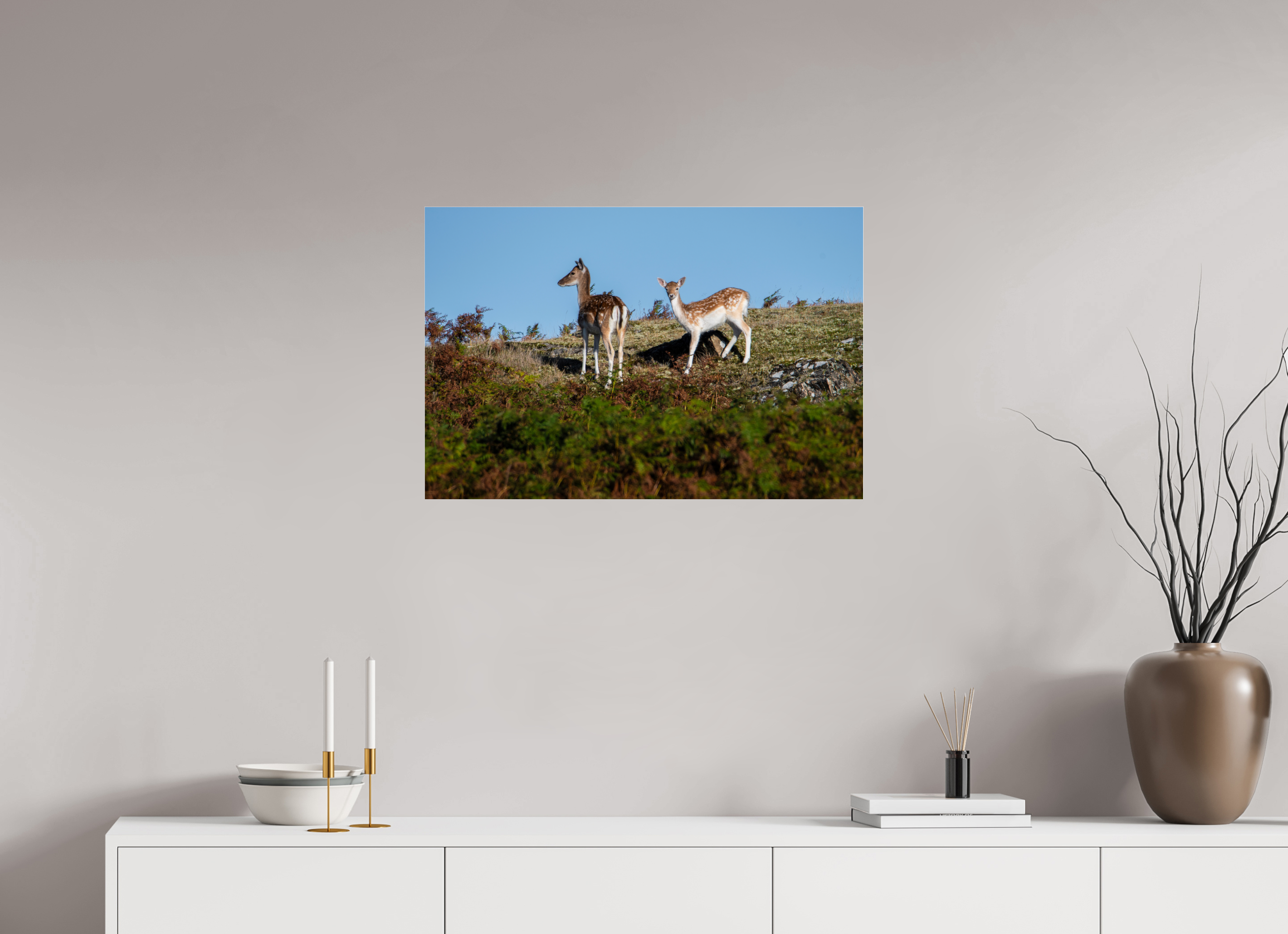 75 x 50 cm, Photo Print Under Acrylic Glass Fallow Deer on Hillside