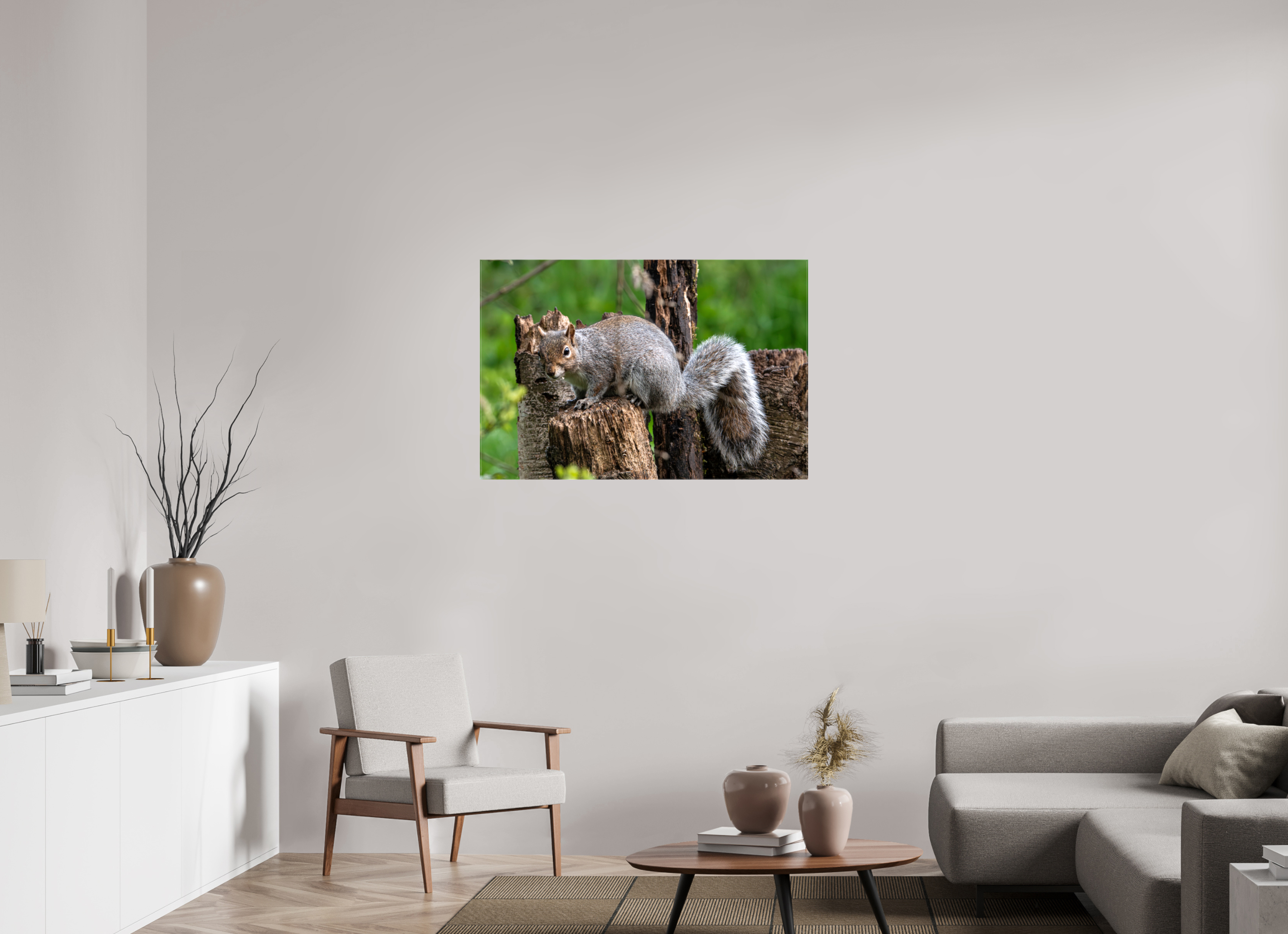 105 x 70 cm, Glossy Canvas On Stretcher Frame Grey Squirrel