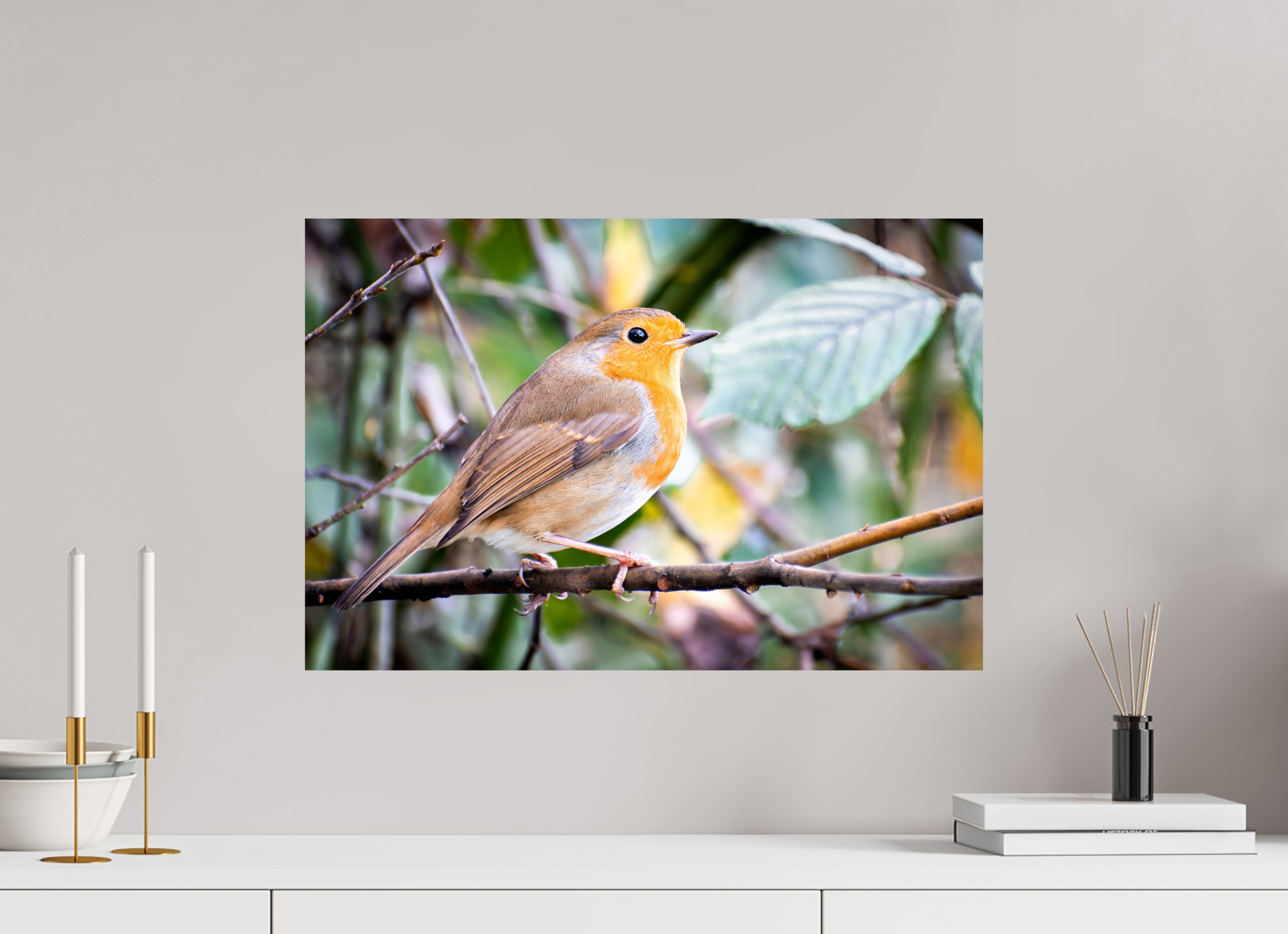 60 x 40 cm, Photo Print On Fuji Crystal DP II Robin