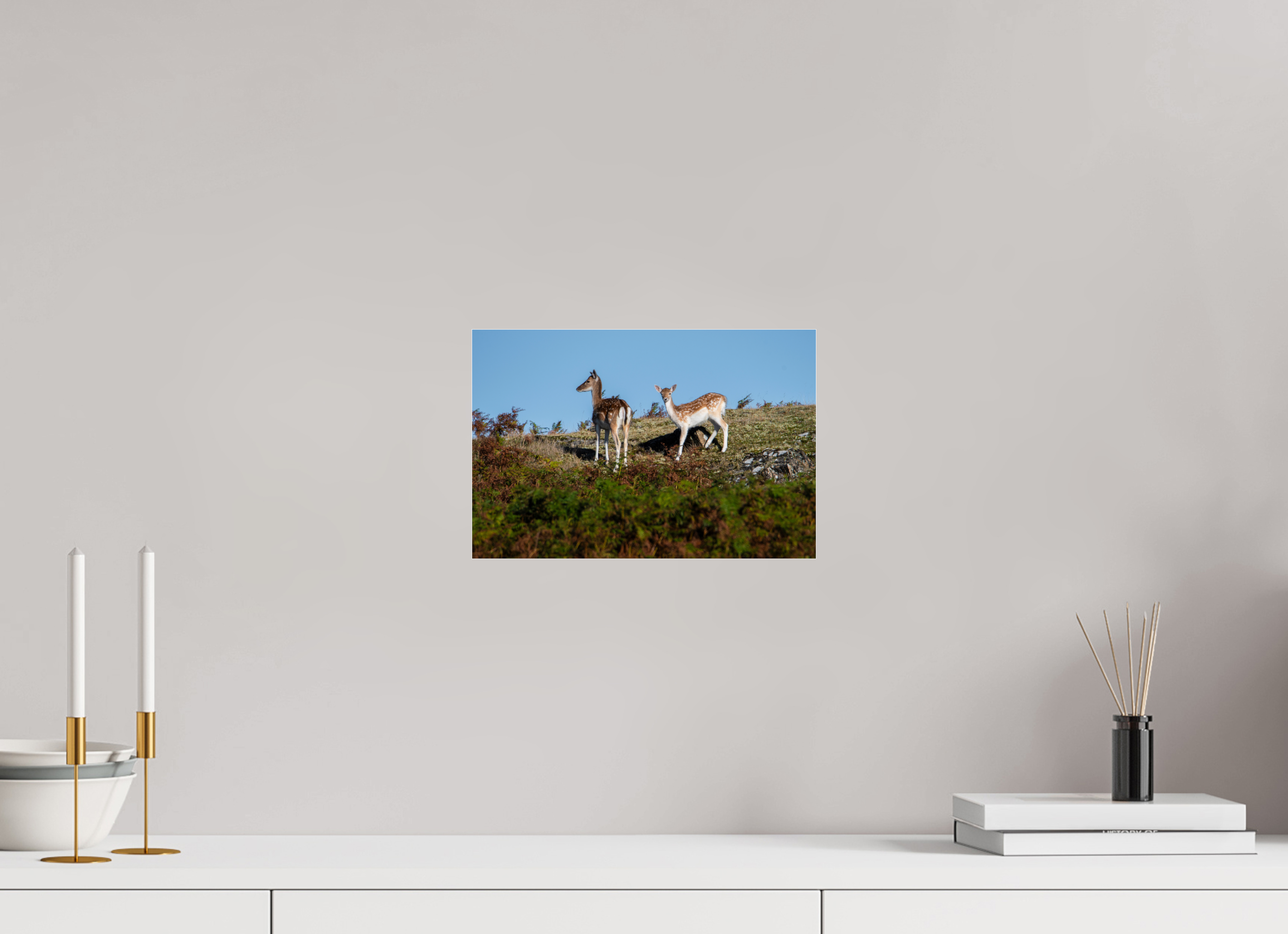 30 x 20 cm, Photo Print Under Acrylic Glass Fallow Deer on Hillside