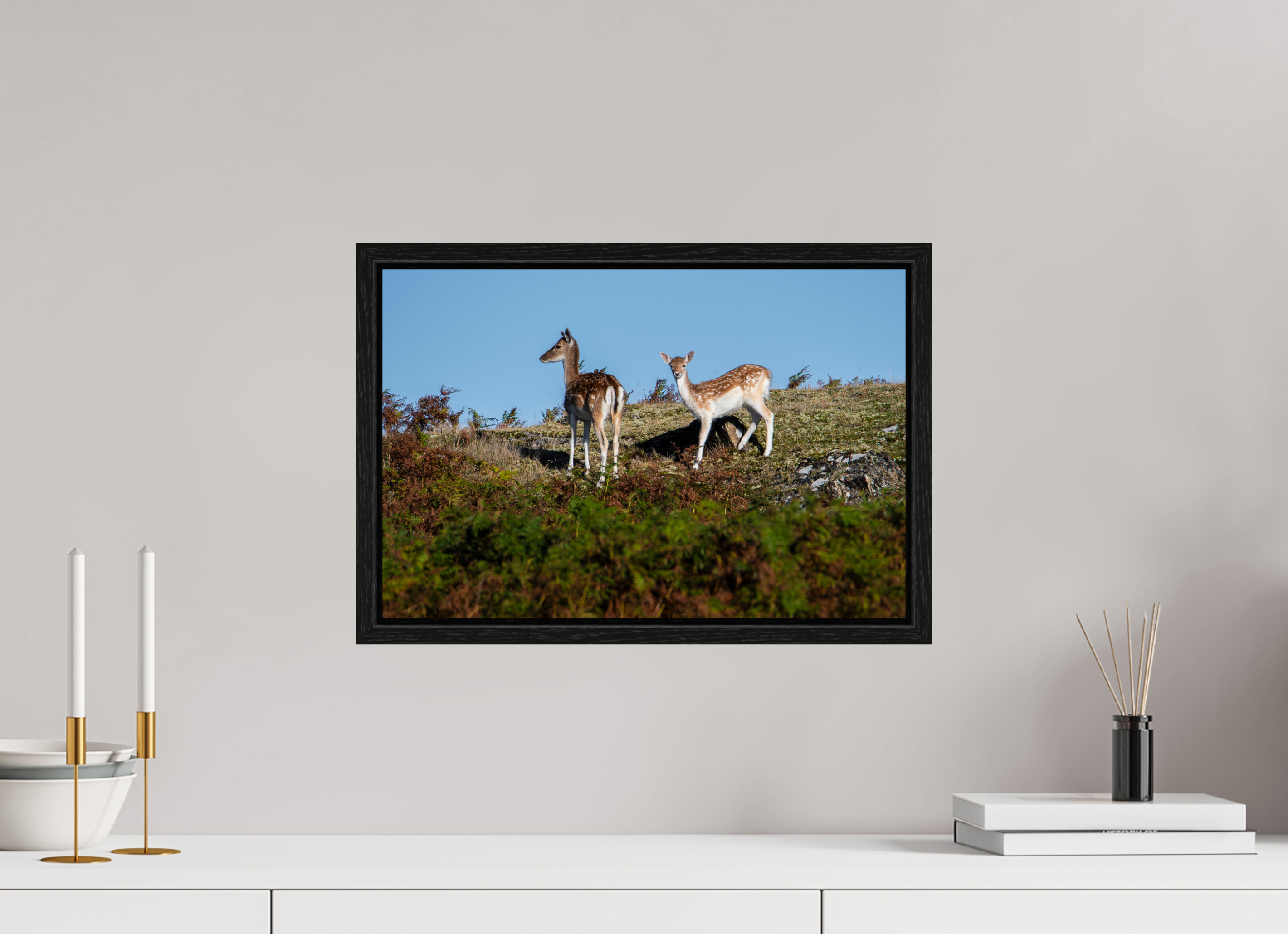 45 x 30 cm, Floater Frame Fallow Deer on Hillside