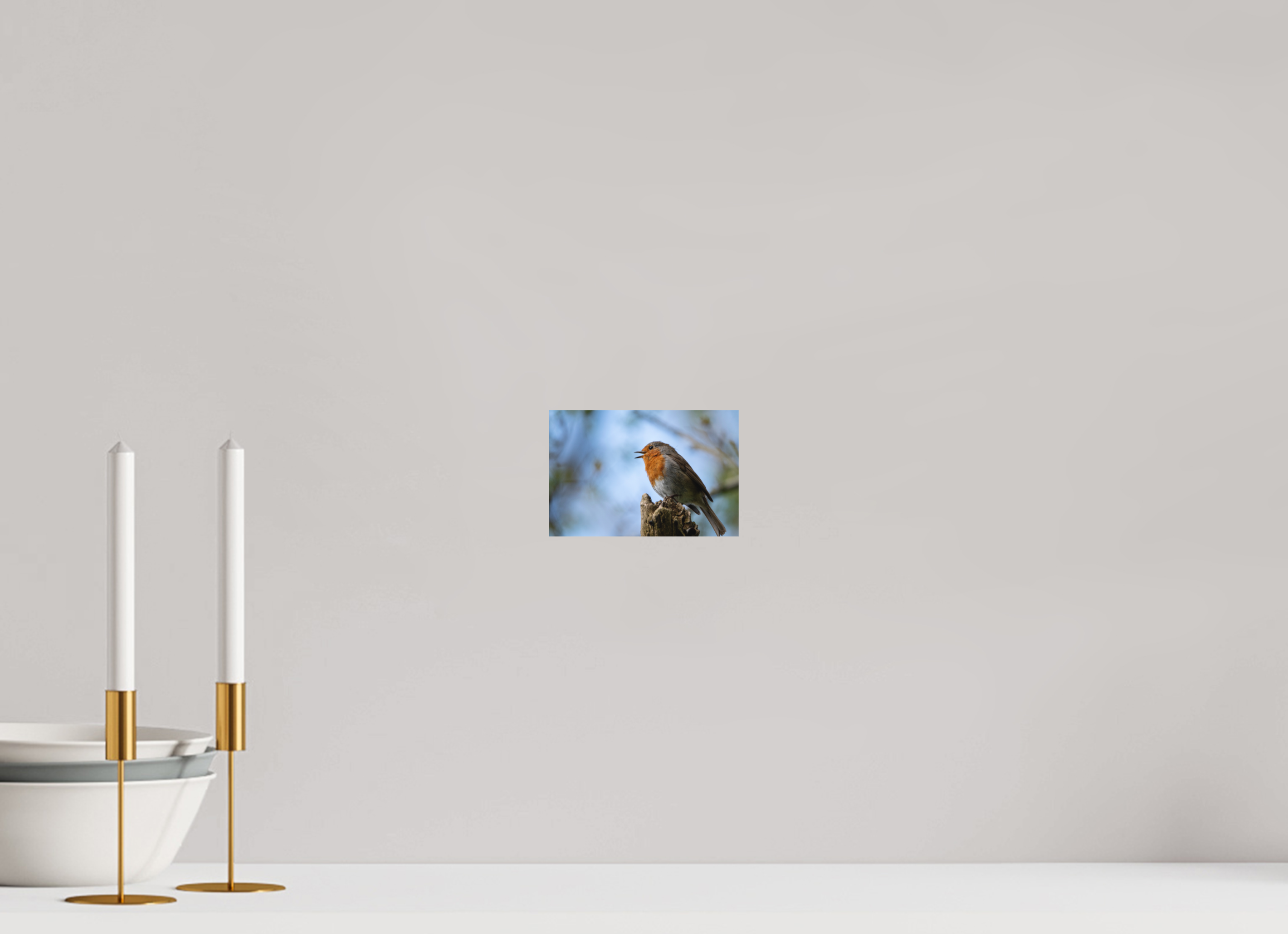 15 x 10 cm, Photo Print Fuji Crystal DP II Matte Singing Robin