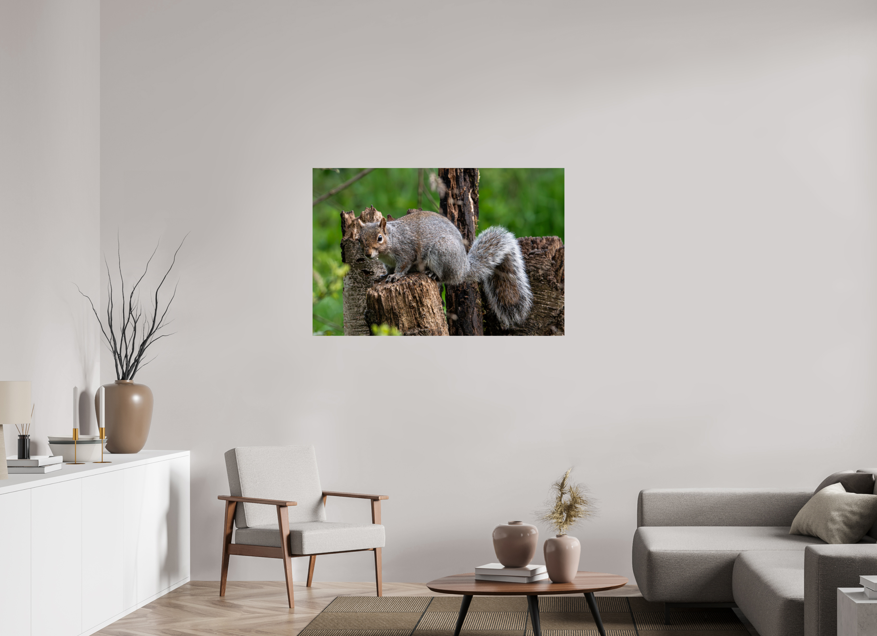 120 x 80 cm, Photo Print On Fuji Crystal DP II Grey Squirrel