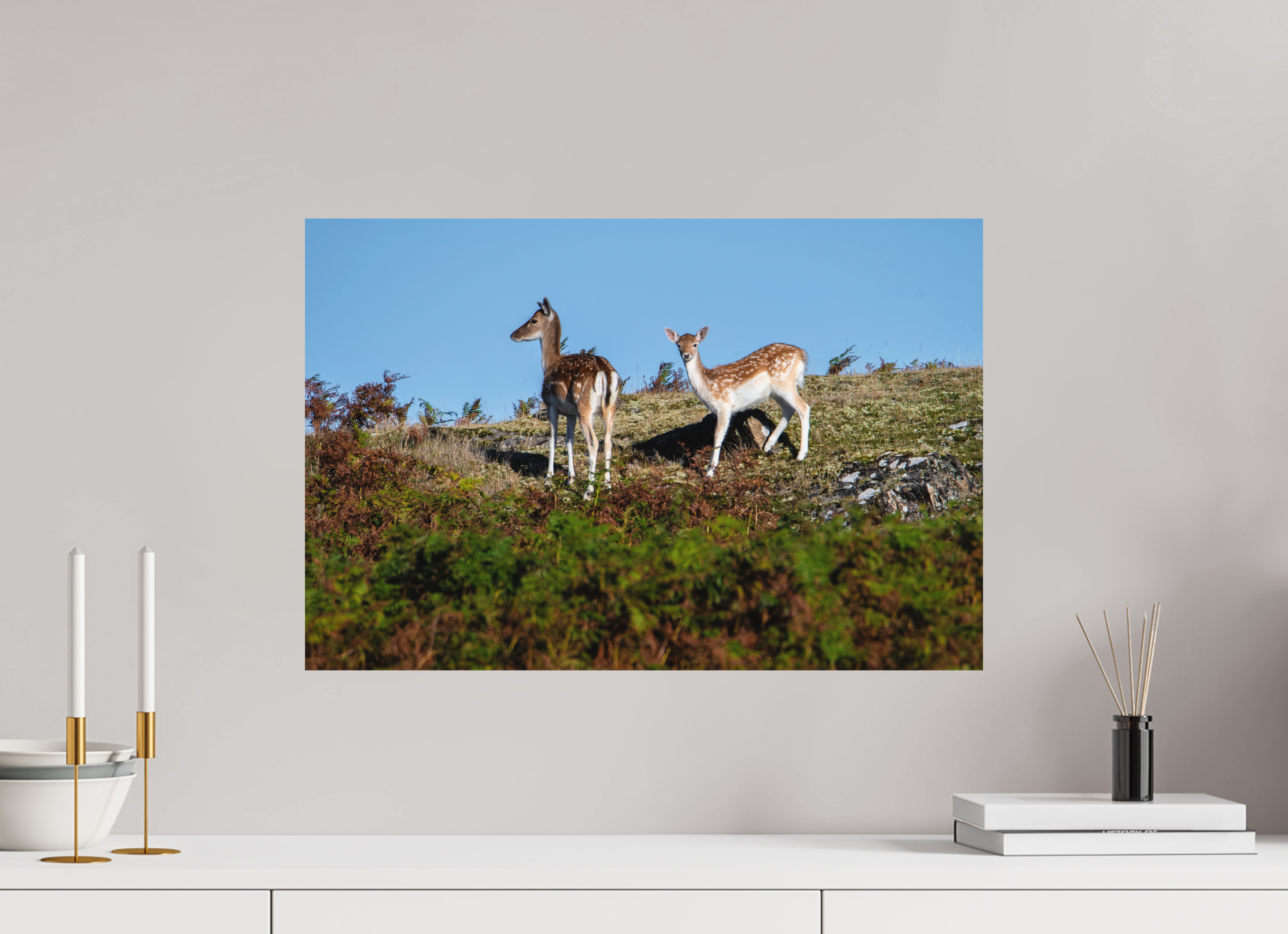 60 x 40 cm, Photo Print Fuji Crystal DP II Matte Fallow Deer on Hillside