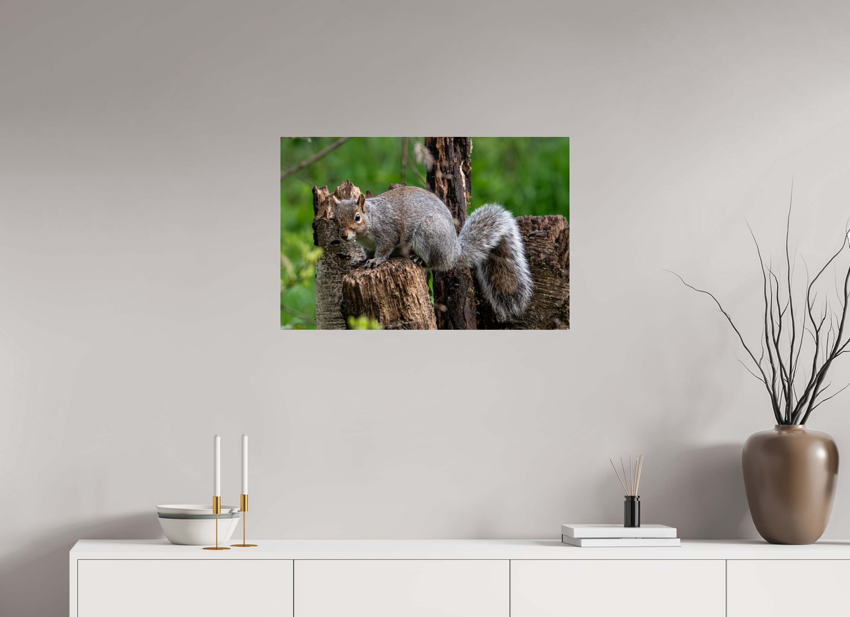75 x 50 cm, Photo Print Under Acrylic Glass Grey Squirrel