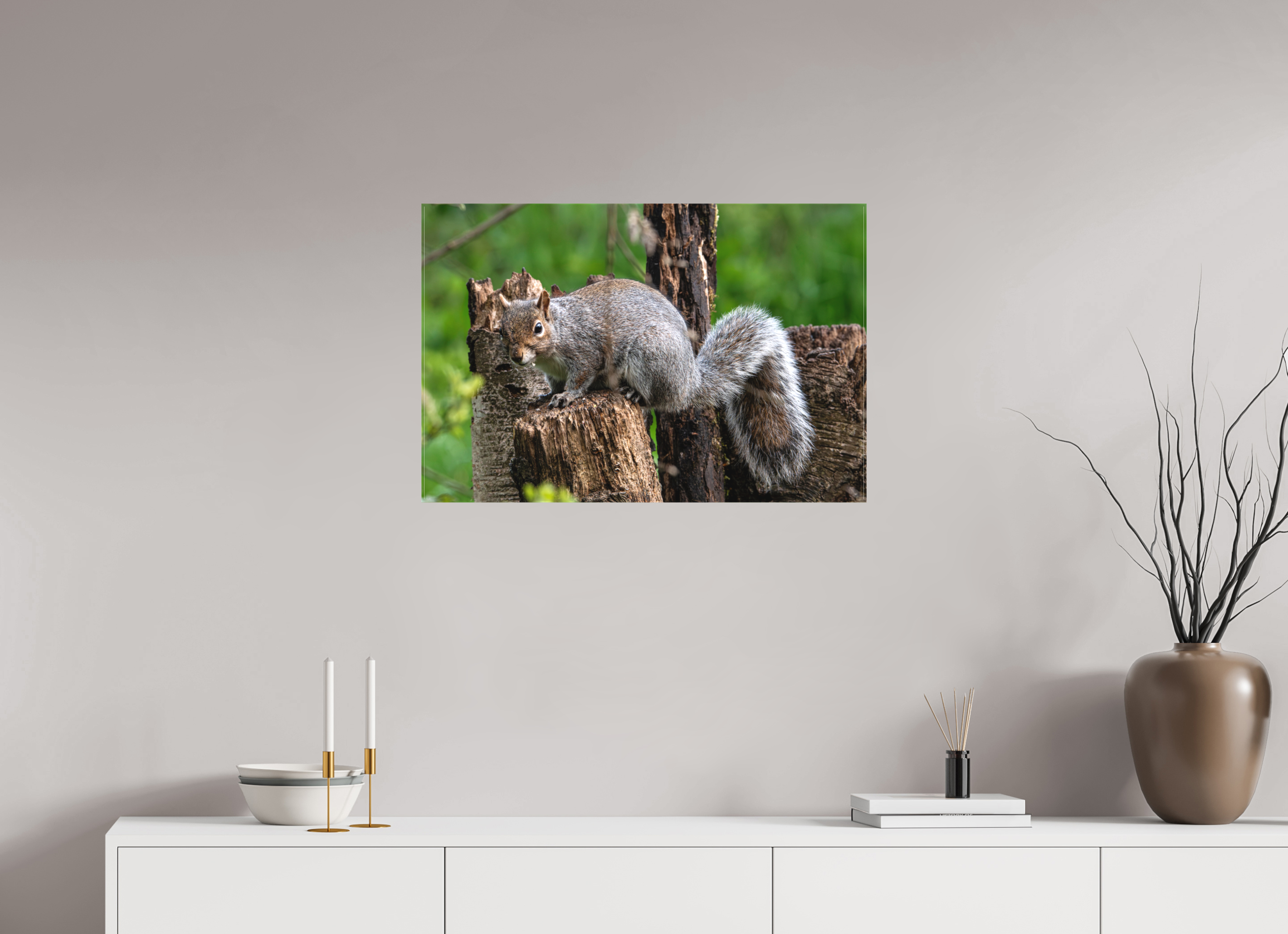 75 x 50 cm, Matte Canvas on Stretcher Frame Grey Squirrel