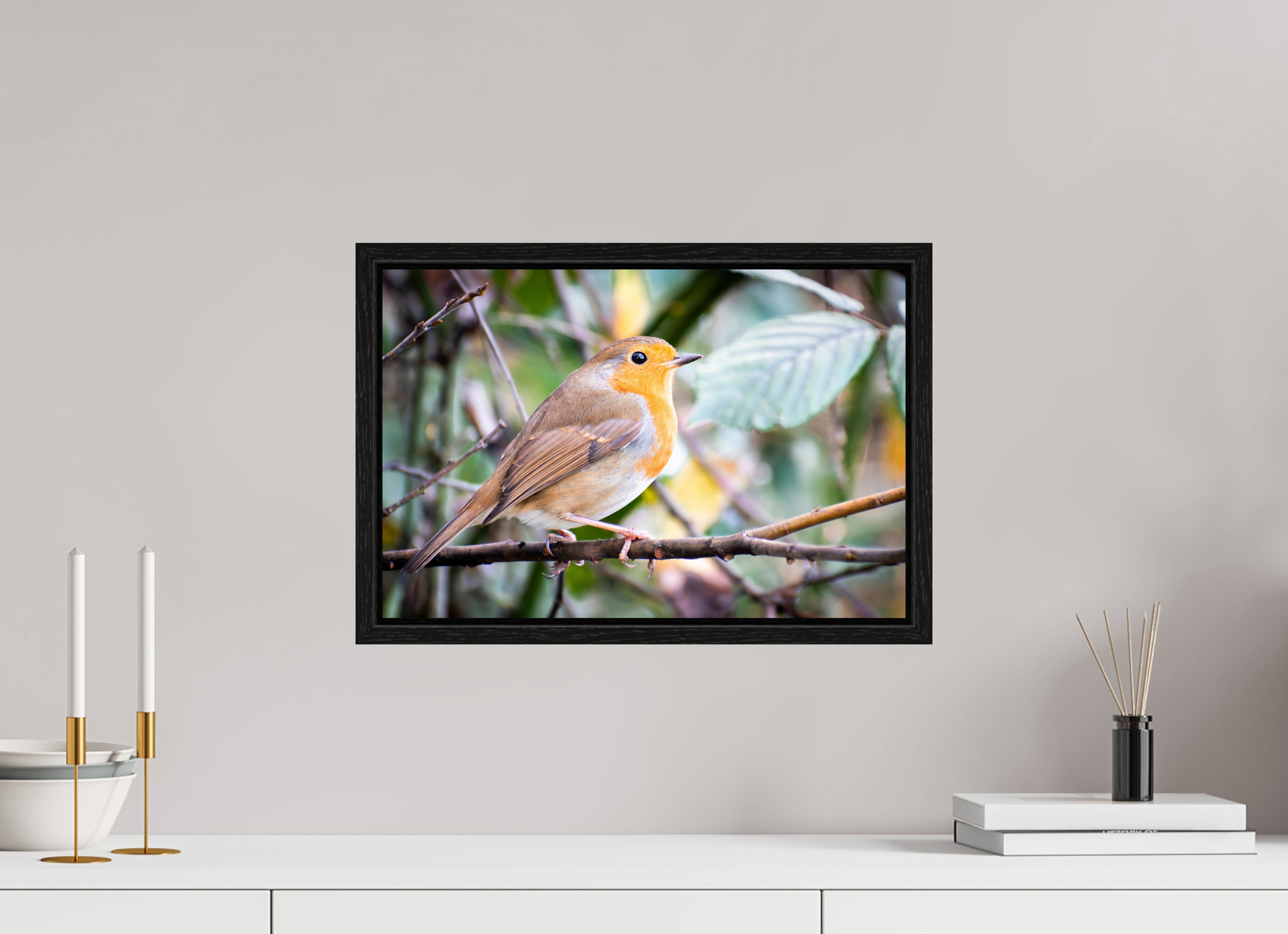 45 x 30 cm, Floater Frame Robin