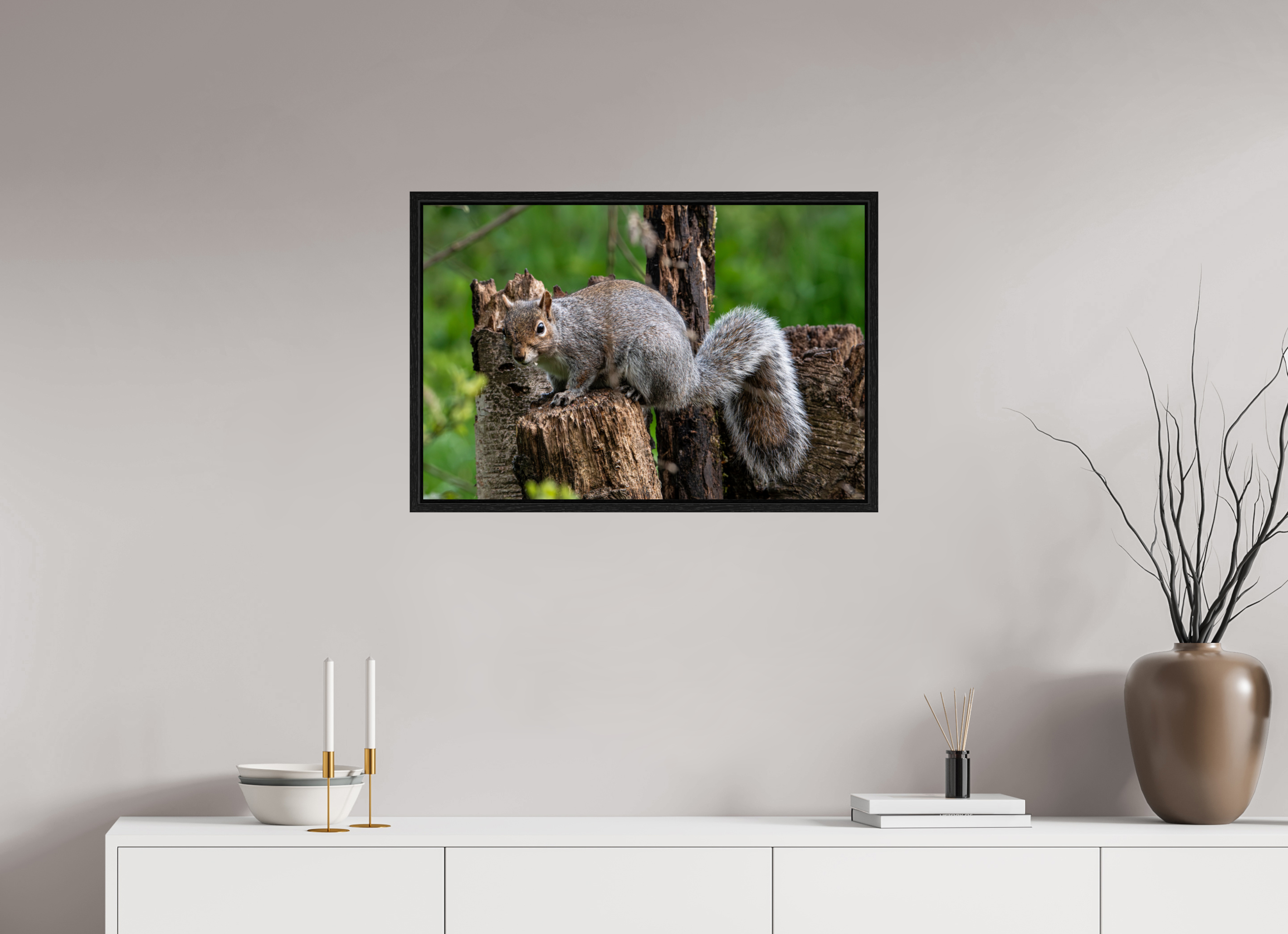 75 x 50 cm, Floater Frame Grey Squirrel