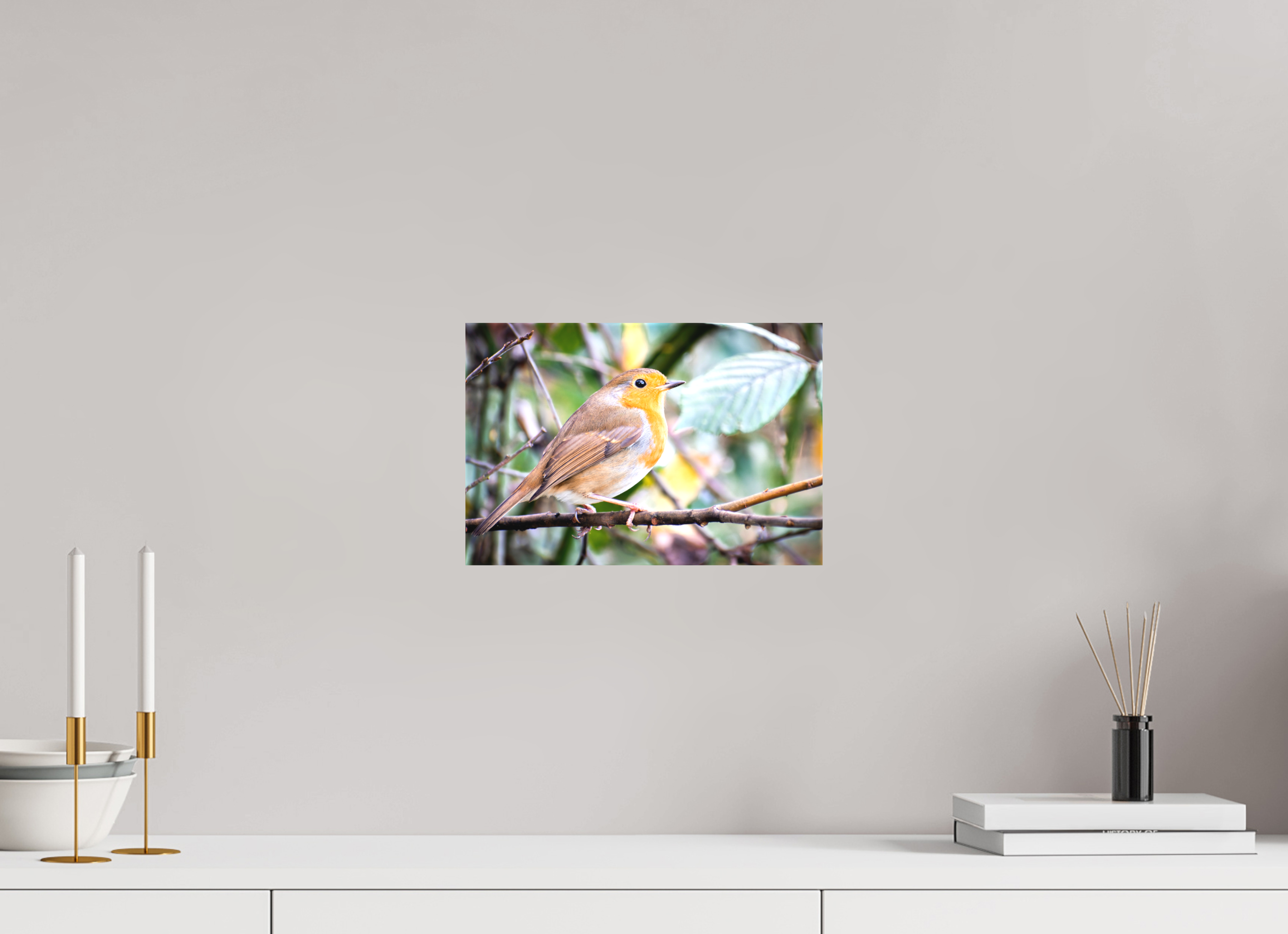 30 x 20 cm, Matte Canvas on Stretcher Frame Robin