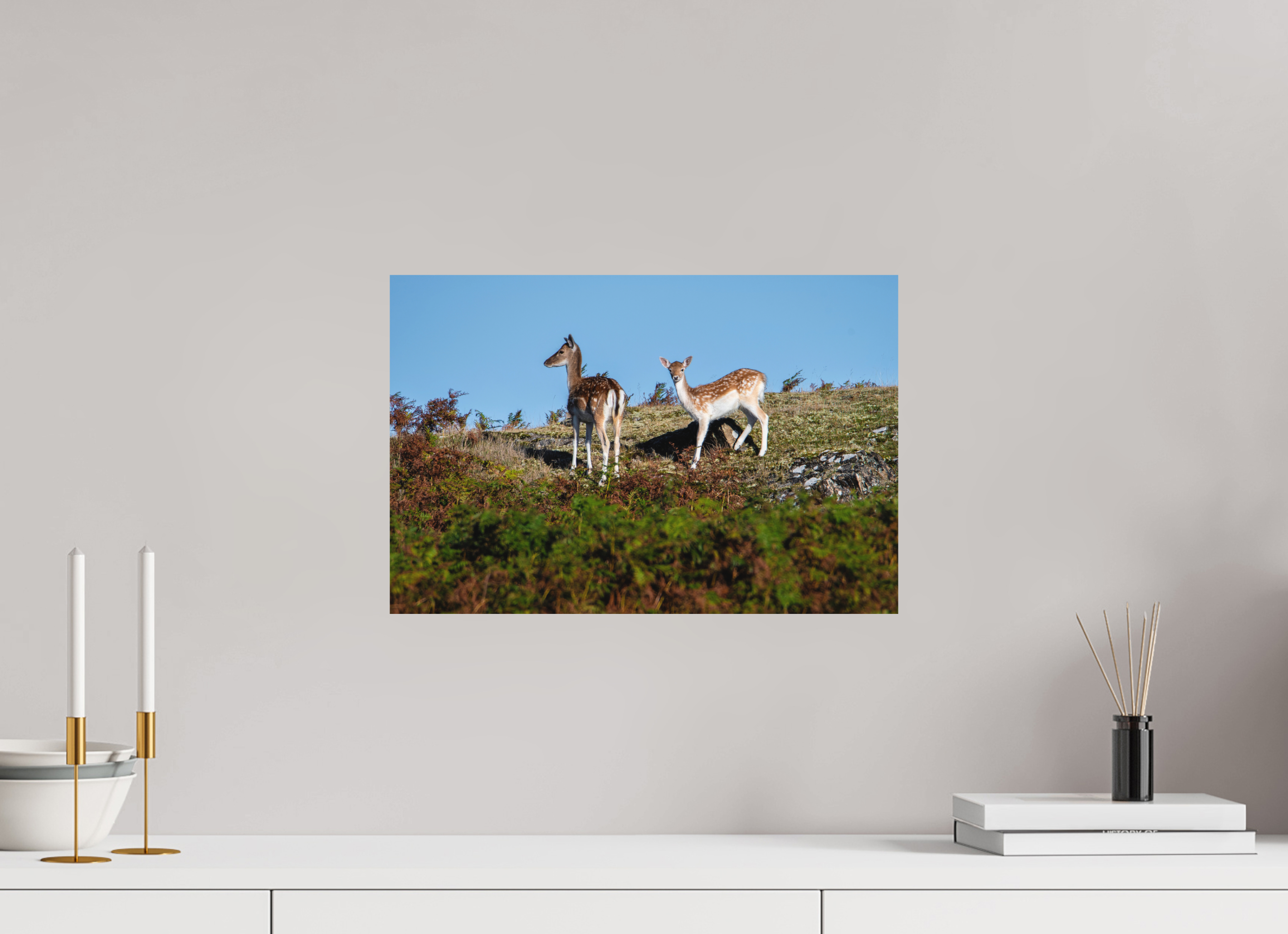 45 x 30 cm, Photo Print Fuji Crystal DP II Matte Fallow Deer on Hillside