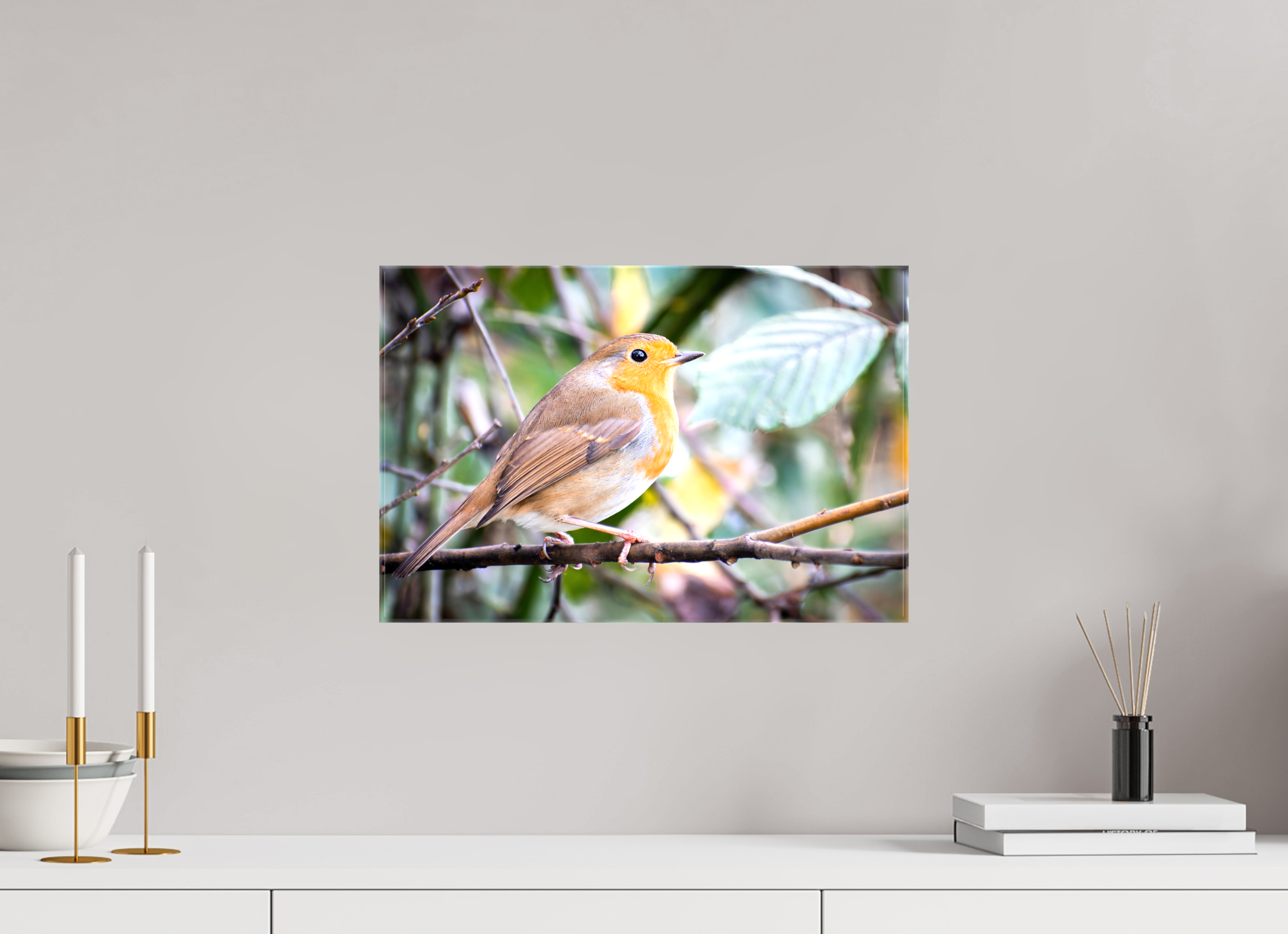 45 x 30 cm, Glossy Canvas On Stretcher Frame Robin
