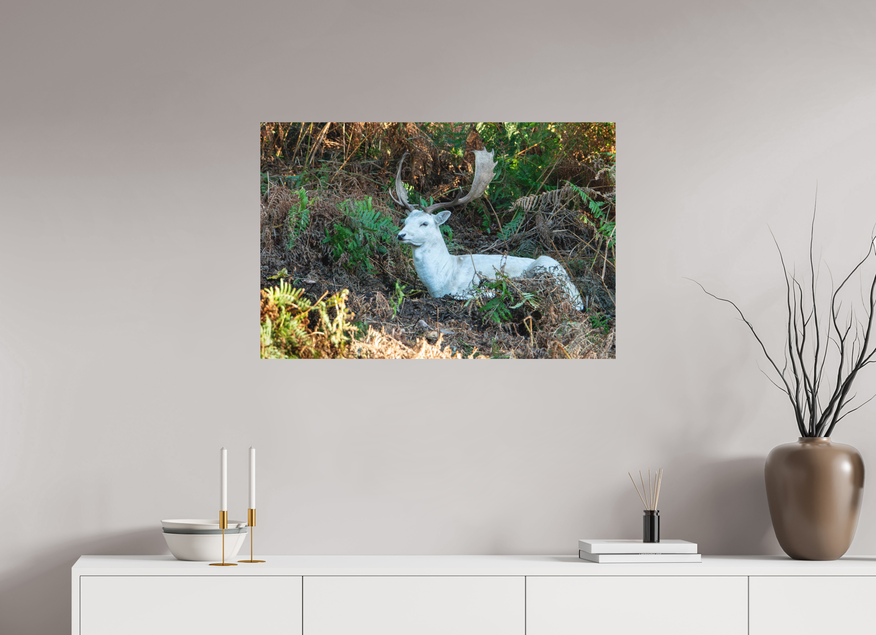 90 x 60 cm, Photo Print Fuji Crystal DP II Matte White Fallow Deer at Rest