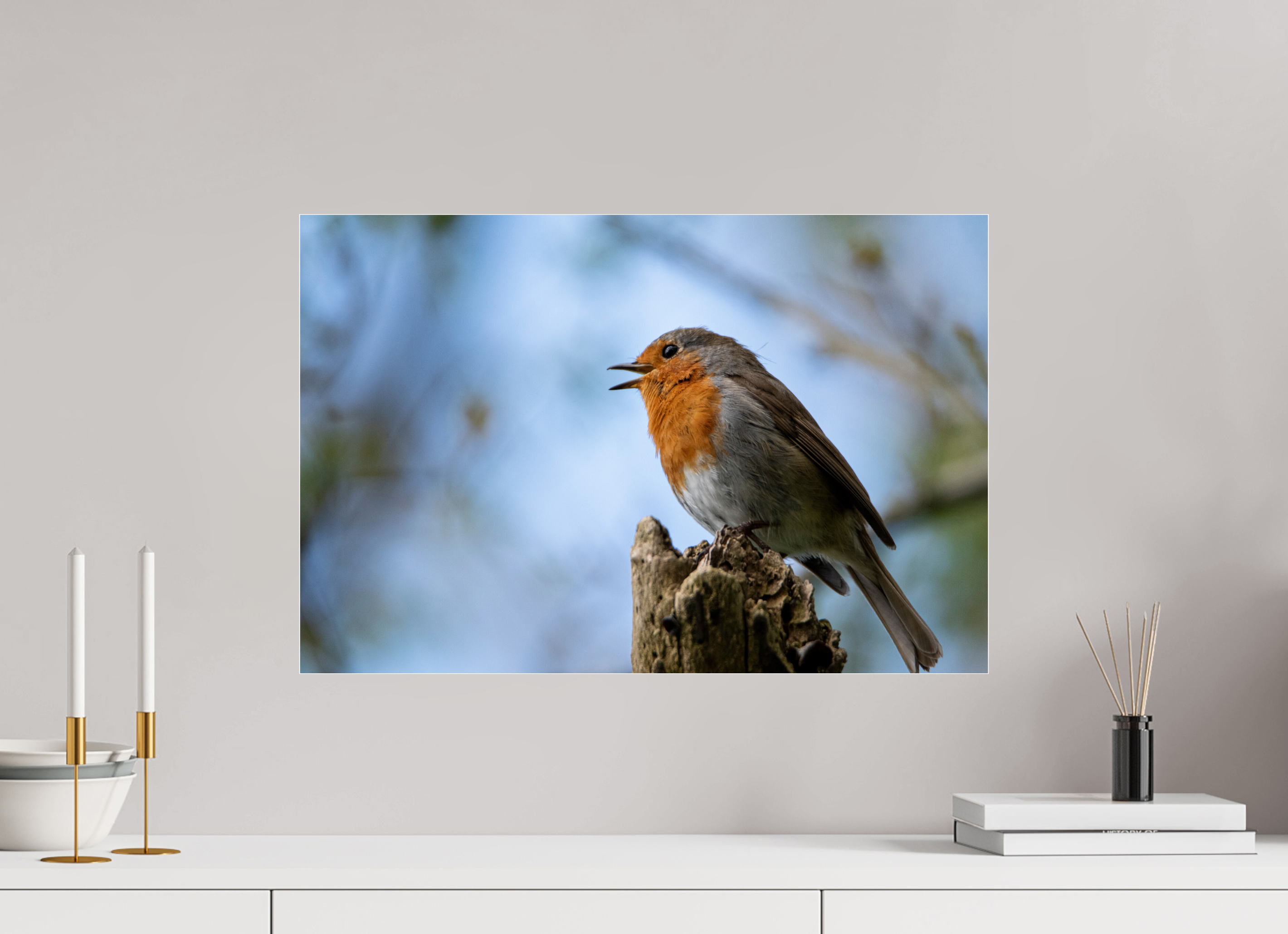 60 x 40 cm, Photo Print Under Acrylic Glass Singing Robin