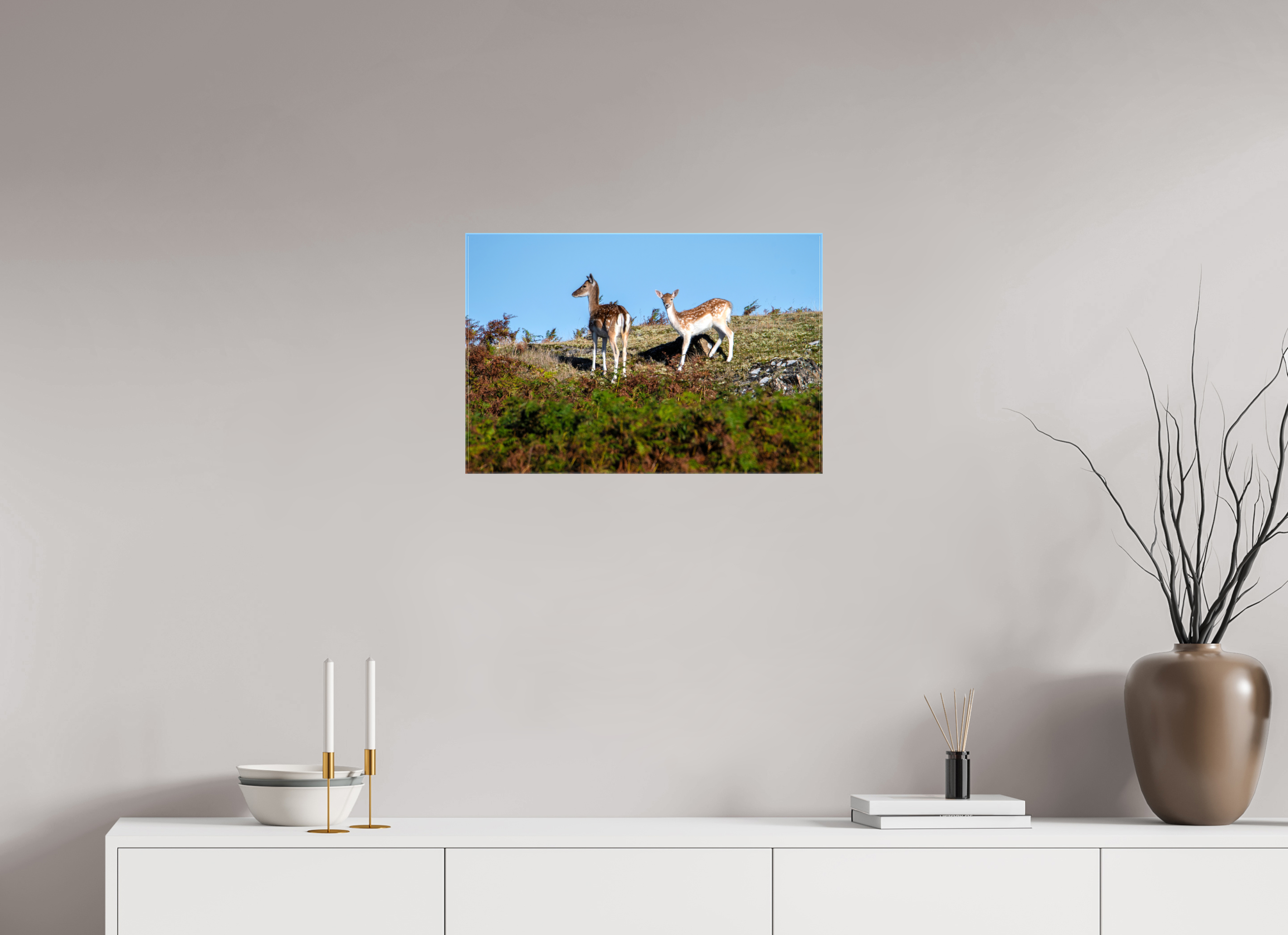 60 x 40 cm, Glossy Canvas On Stretcher Frame Fallow Deer on Hillside