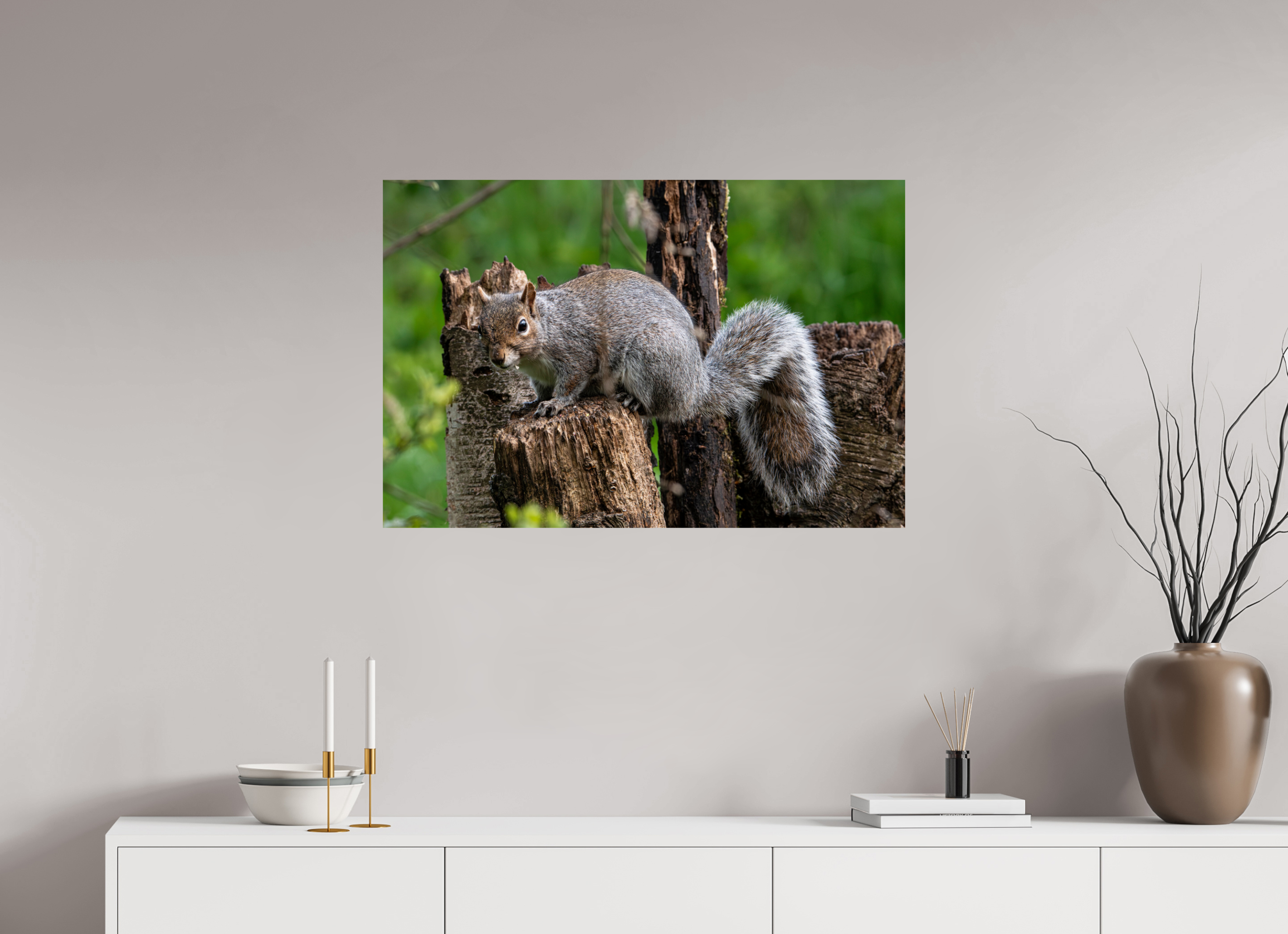 90 x 60 cm, Photo Print On Fuji Crystal DP II Grey Squirrel