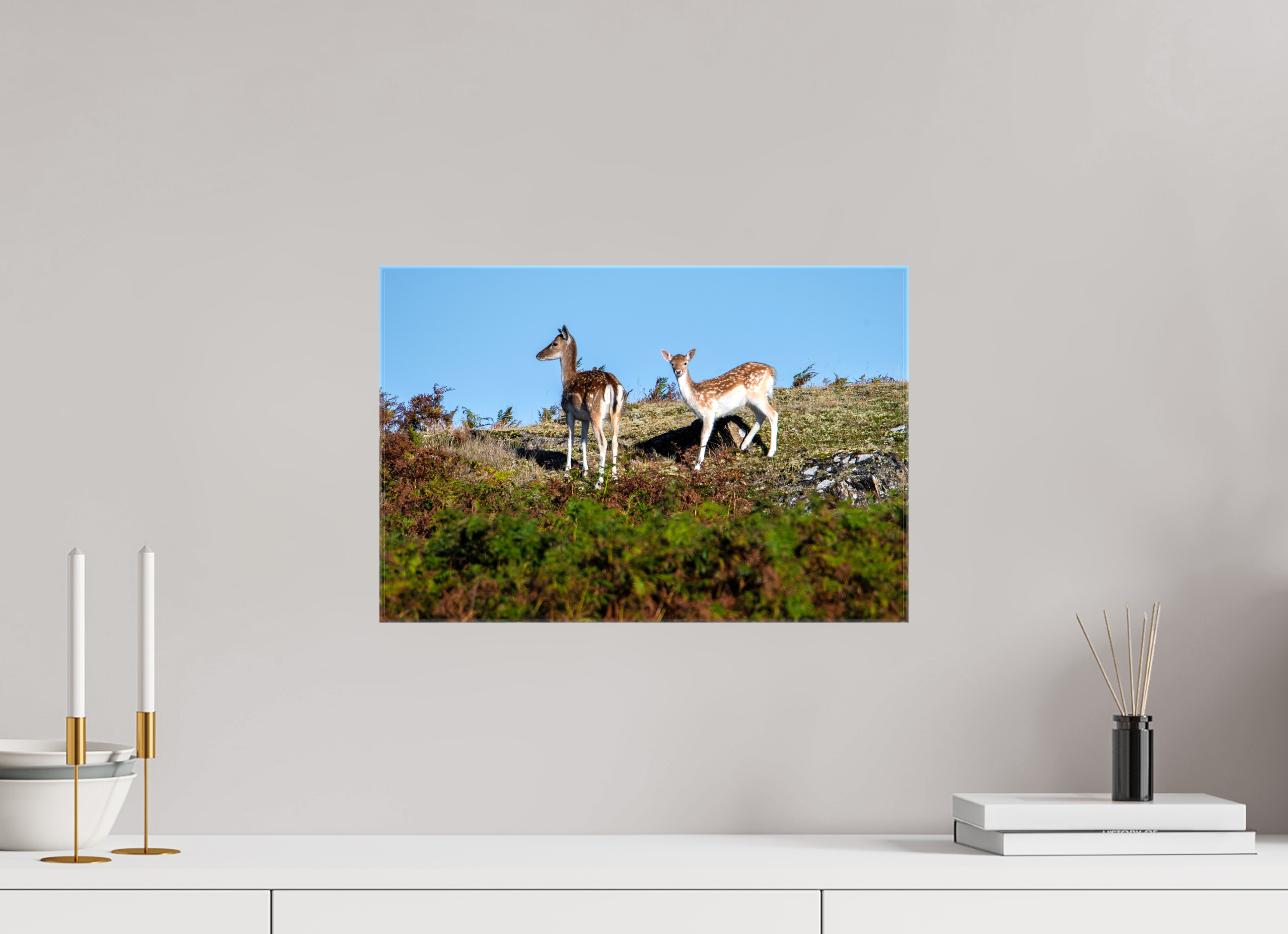 45 x 30 cm, Glossy Canvas On Stretcher Frame Fallow Deer on Hillside