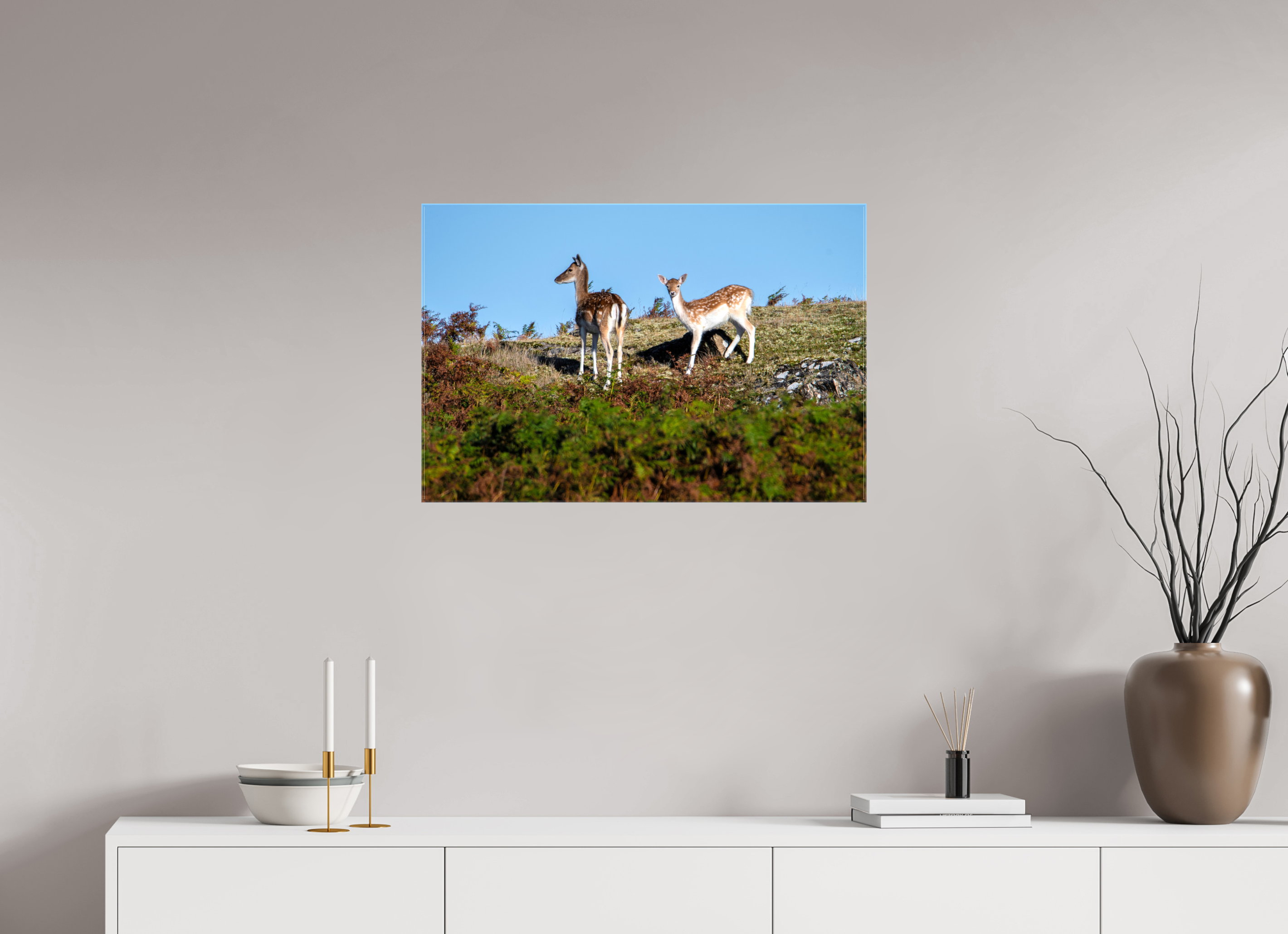 75 x 50 cm, Glossy Canvas On Stretcher Frame Fallow Deer on Hillside