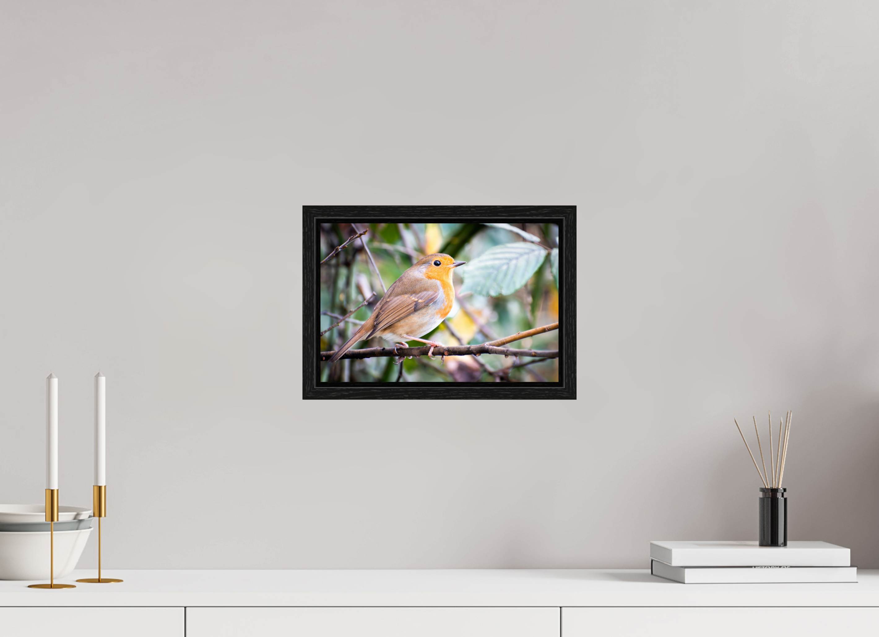 30 x 20 cm, Floater Frame Robin