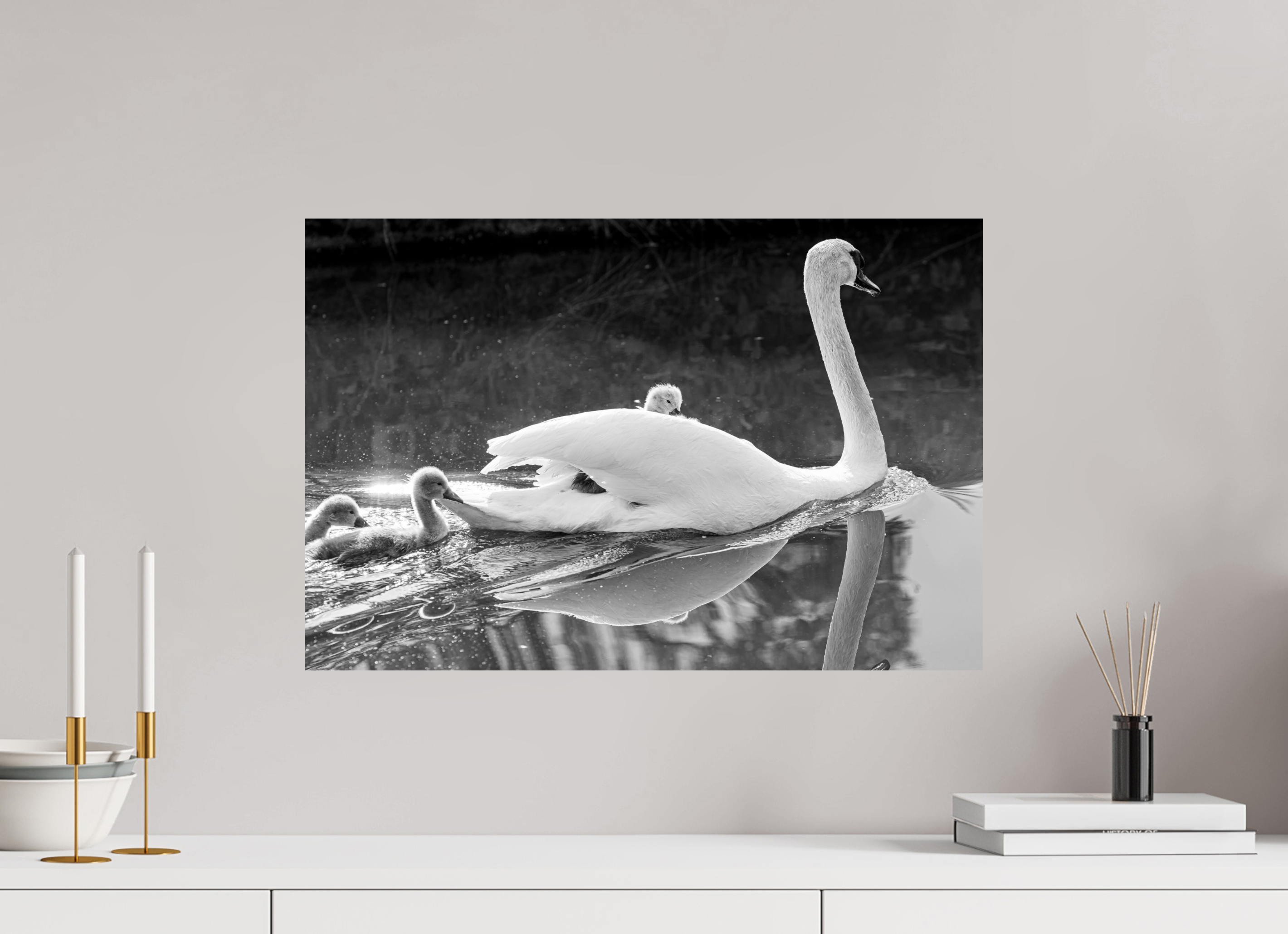 60 x 40 cm, Ilford Baryta Paper for B&W Images Grabbing a Lift