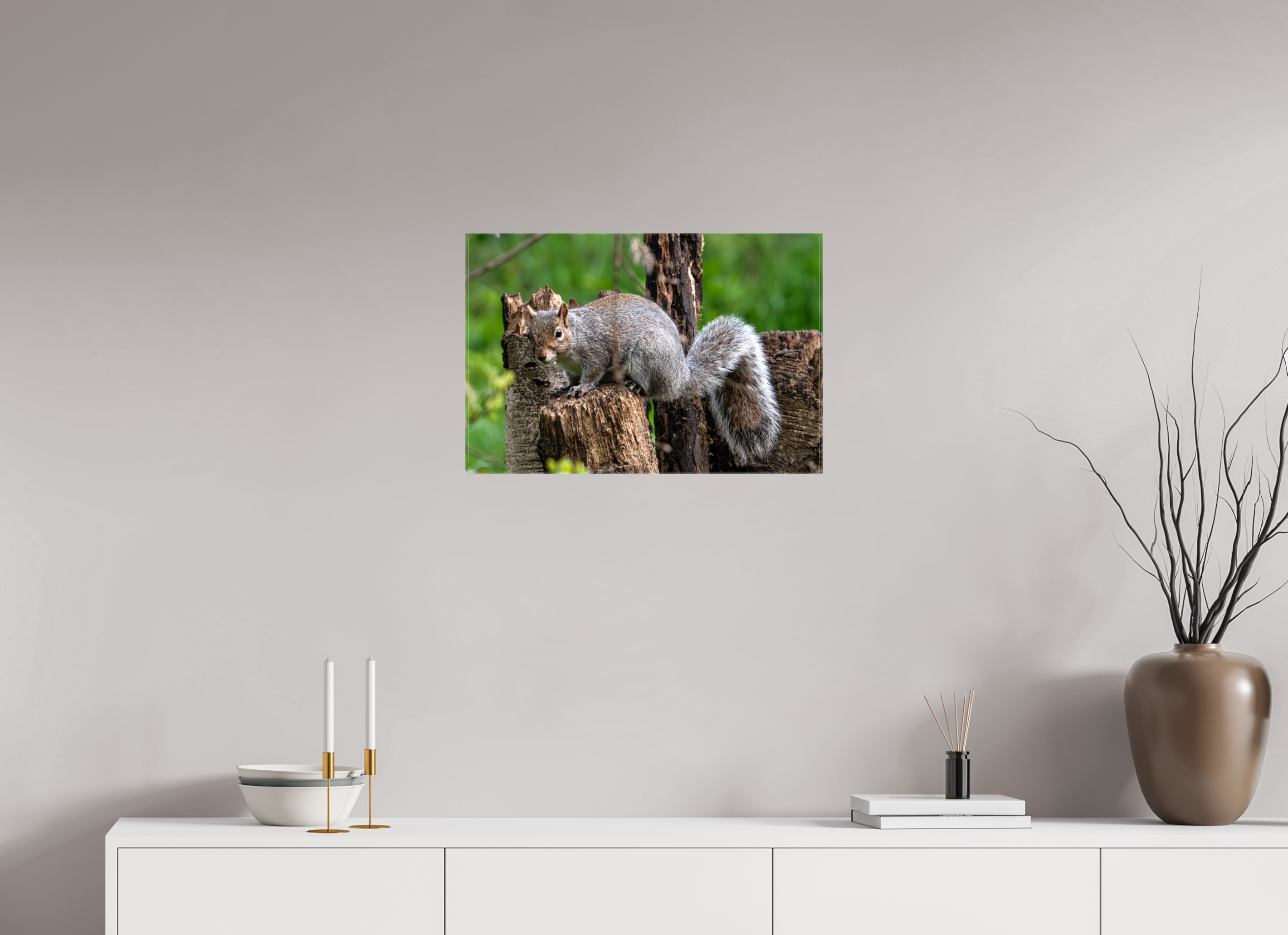 60 x 40 cm, Glossy Canvas On Stretcher Frame Grey Squirrel