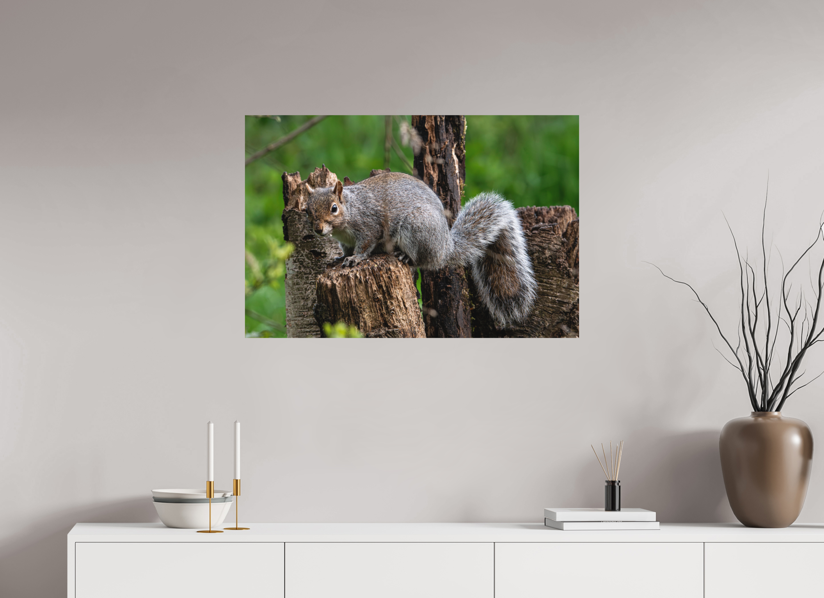 90 x 60 cm, Photo Print Fuji Crystal DP II Matte Grey Squirrel