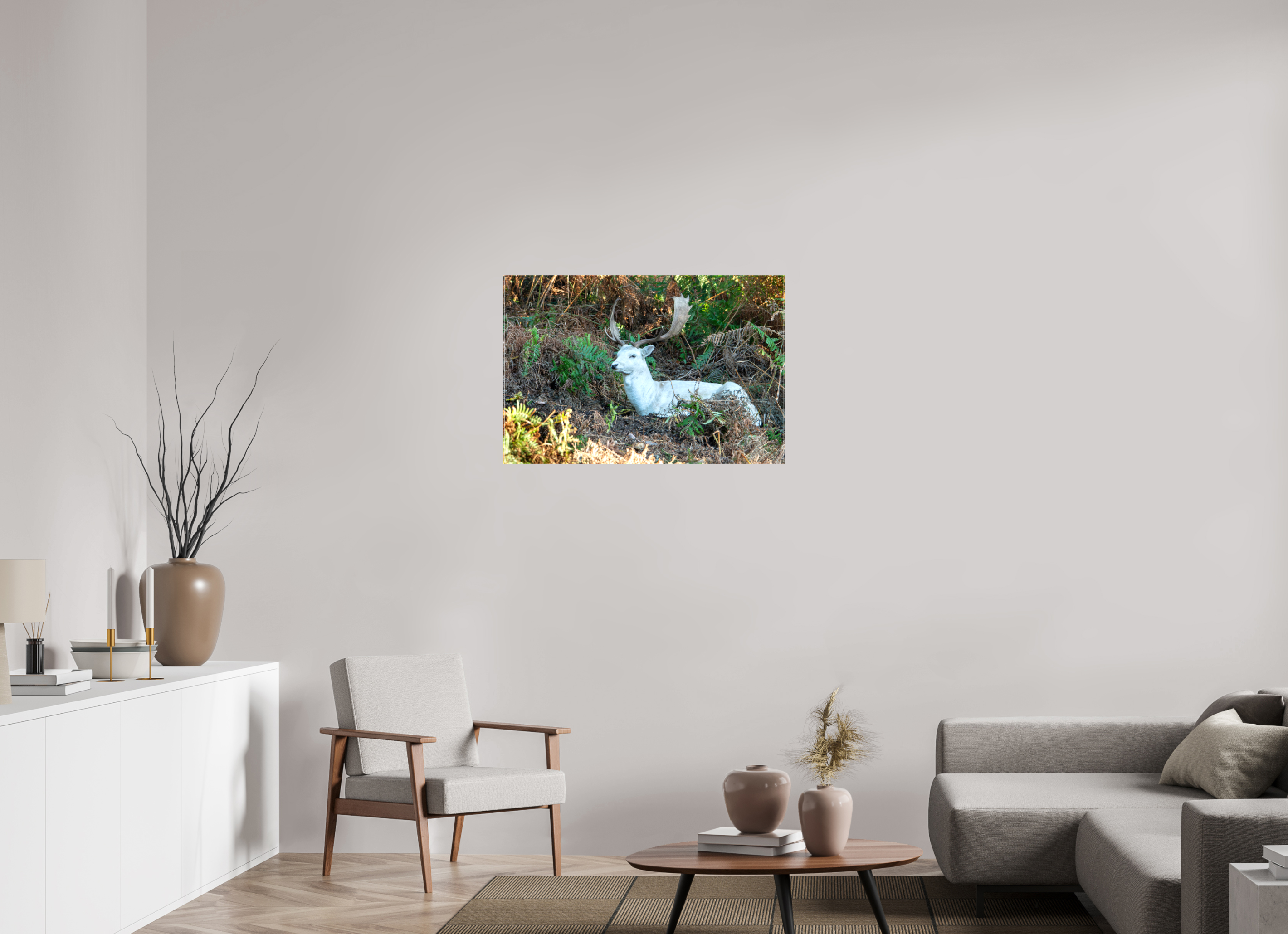 90 x 60 cm, Glossy Canvas On Stretcher Frame White Fallow Deer at Rest