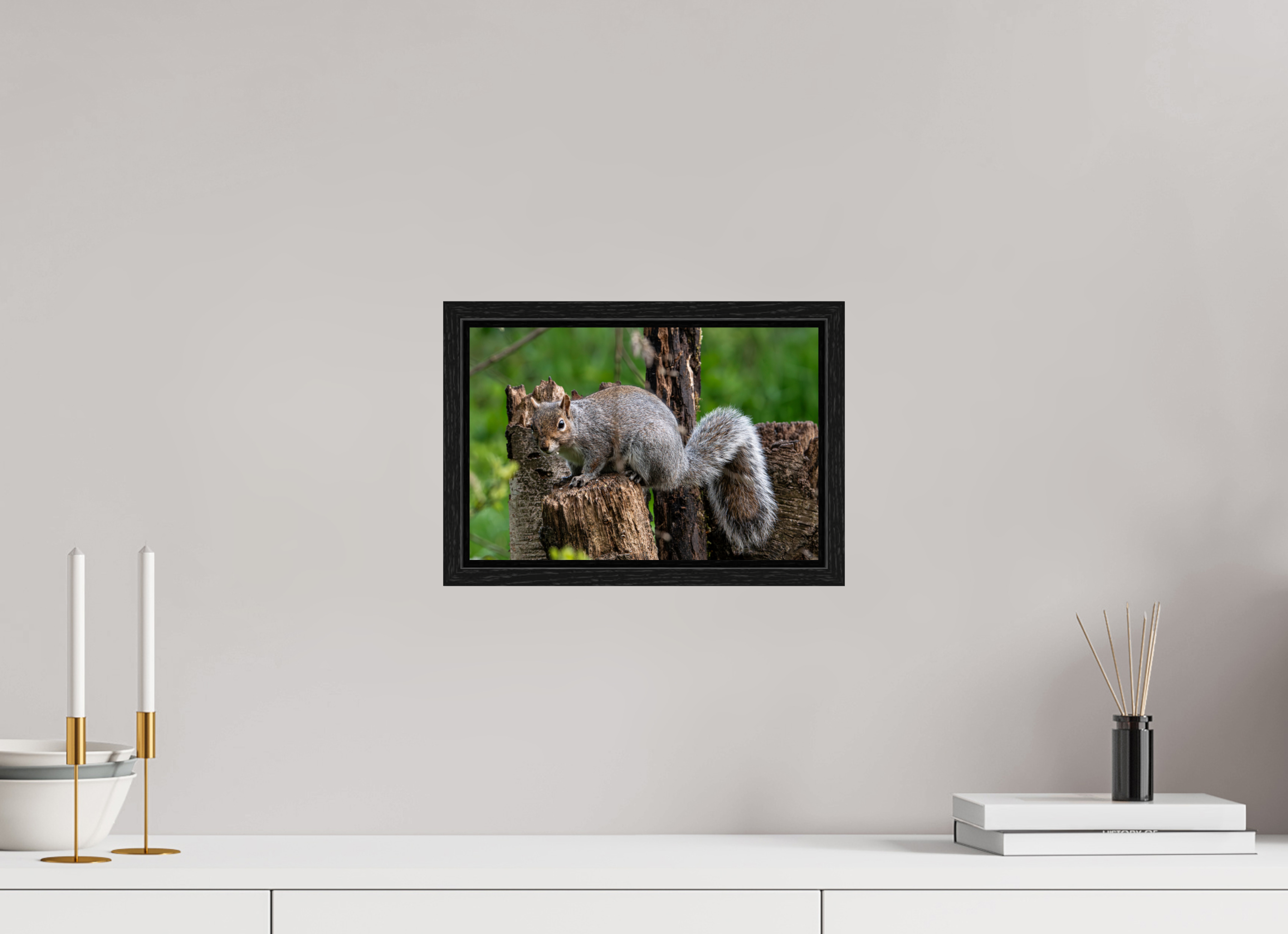 30 x 20 cm, Floater Frame Grey Squirrel