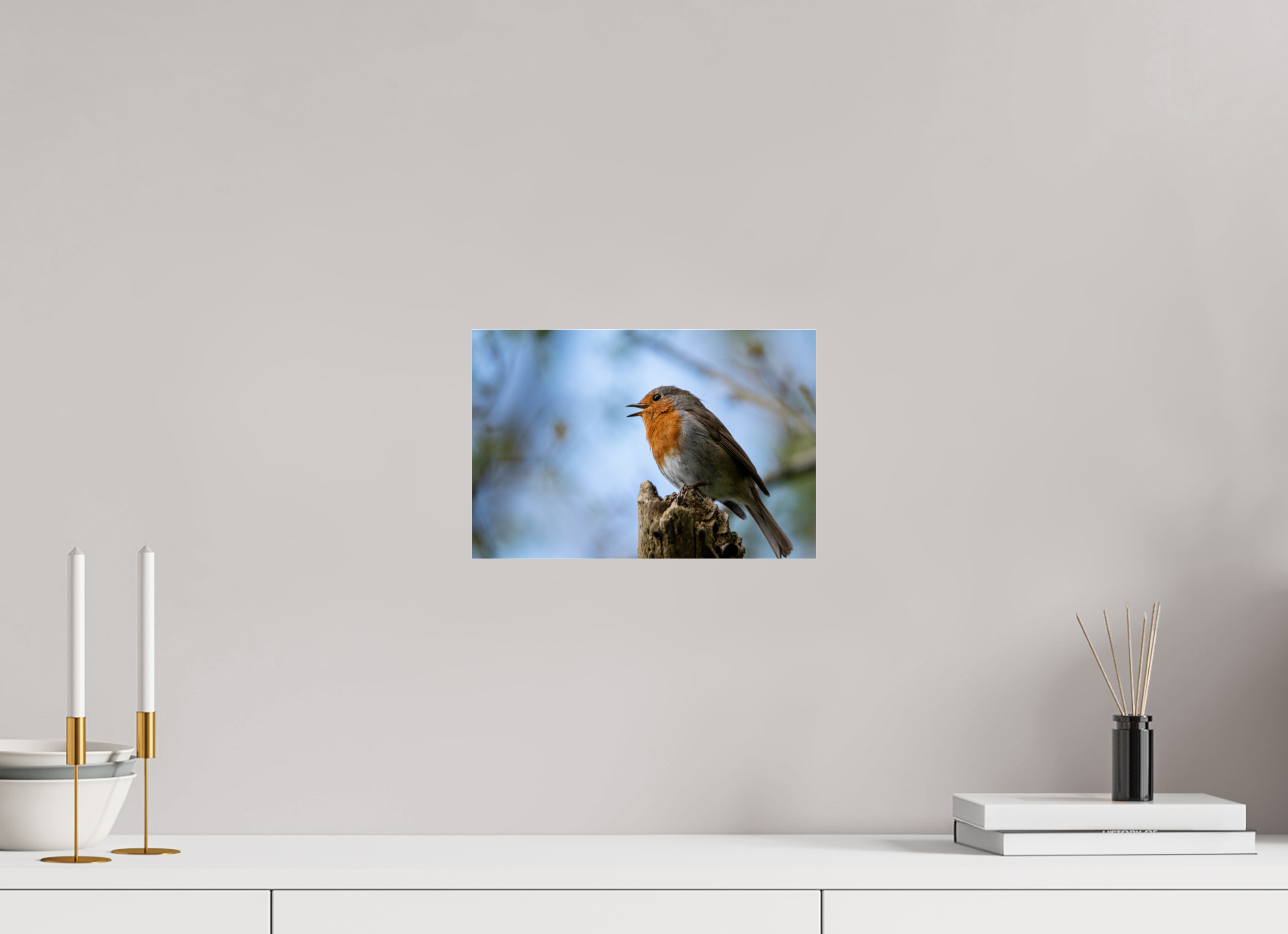 30 x 20 cm, Photo Print Under Acrylic Glass Singing Robin