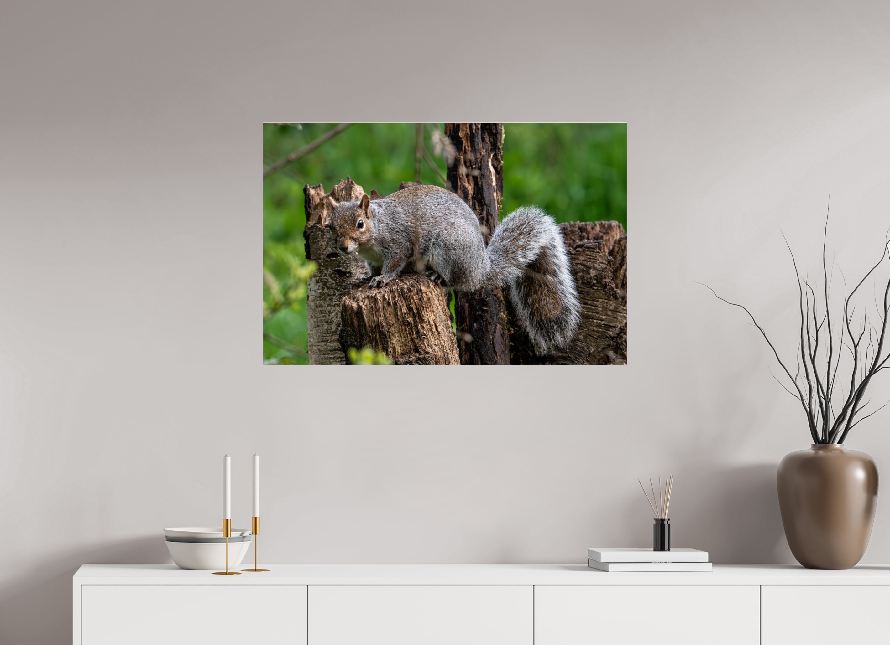 90 x 60 cm, Photo Print Under Acrylic Glass Grey Squirrel