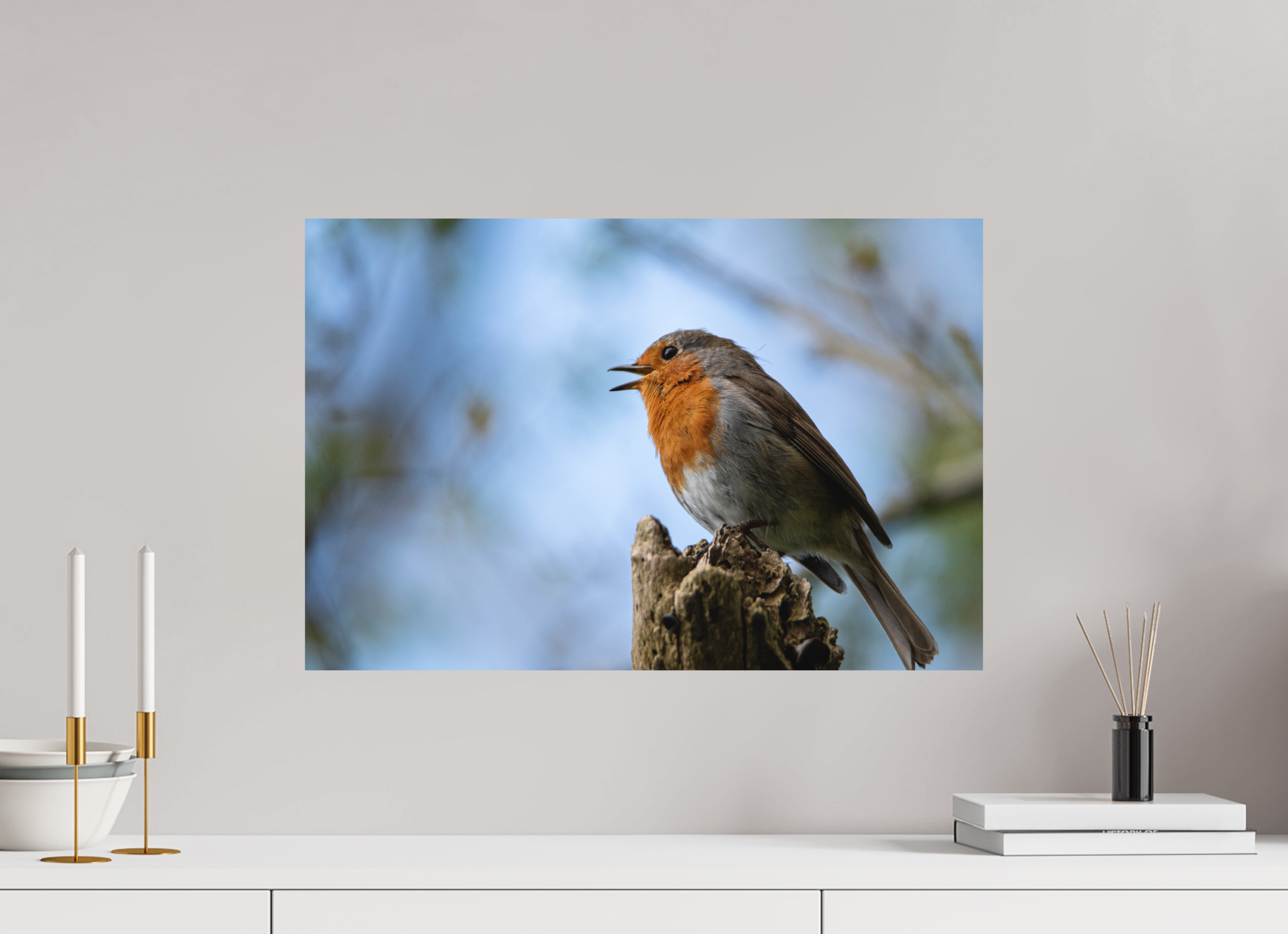 60 x 40 cm, Photo Print Fuji Crystal DP II Matte Singing Robin