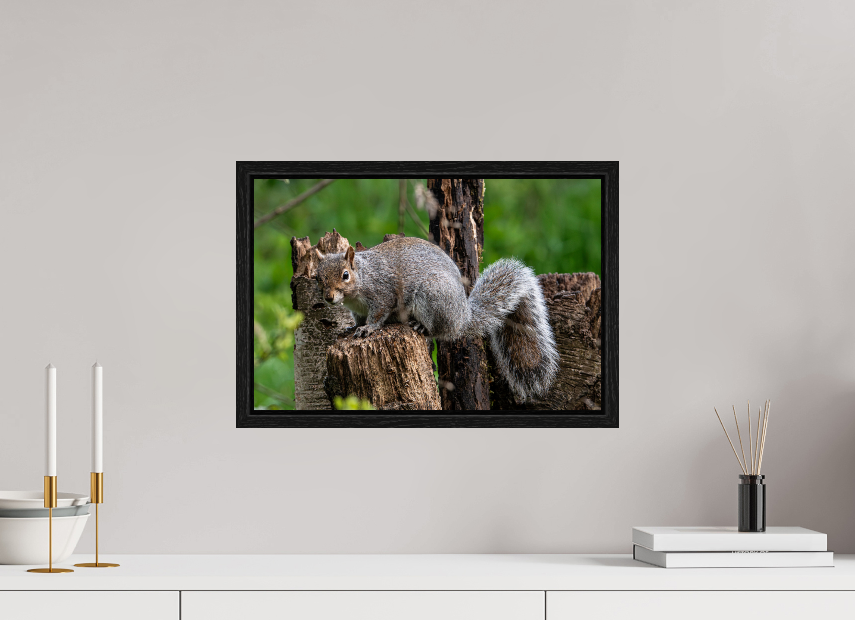 45 x 30 cm, Floater Frame Grey Squirrel