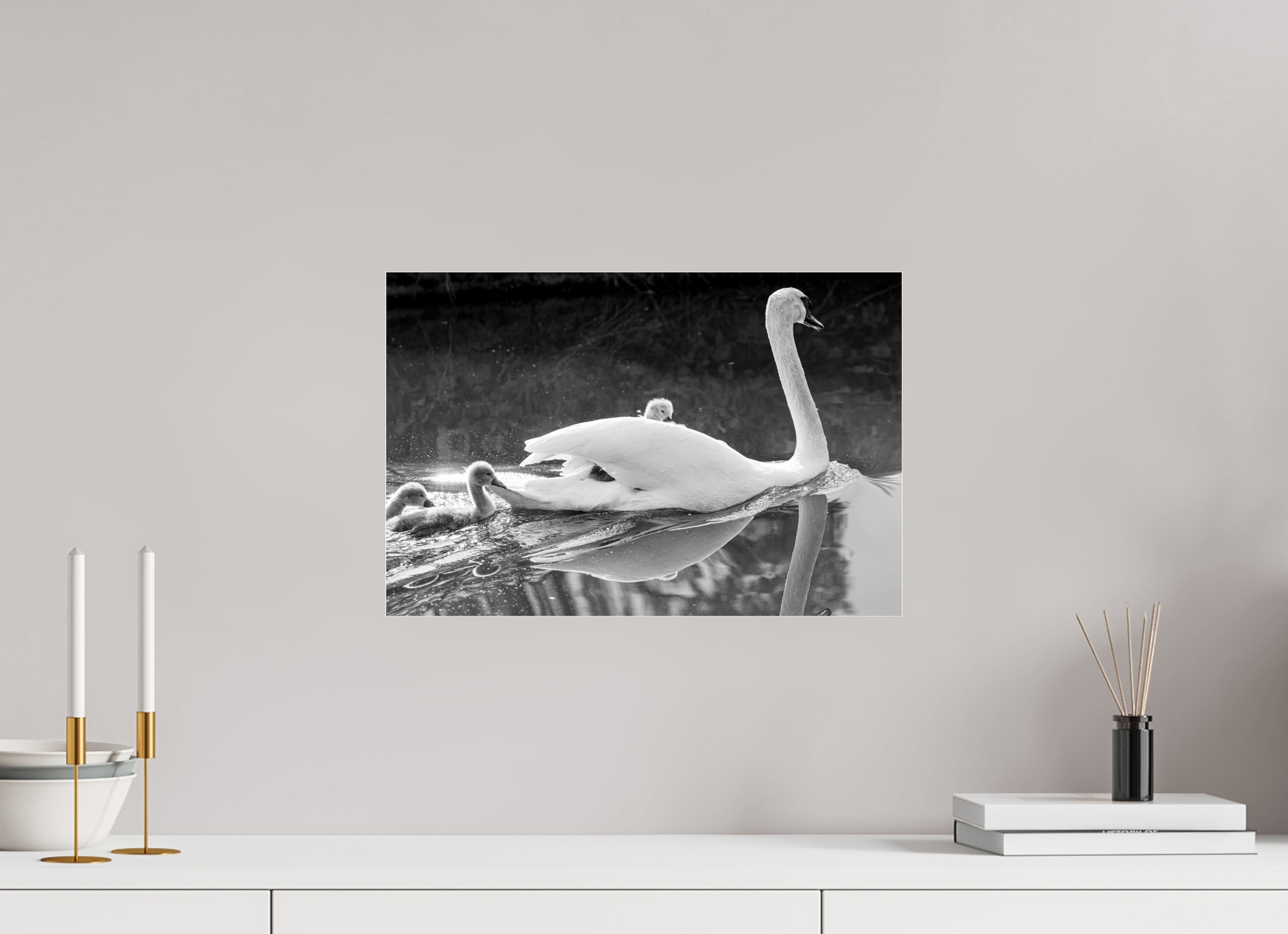 45 x 30 cm, Photo Print Under Acrylic Glass Grabbing a Lift
