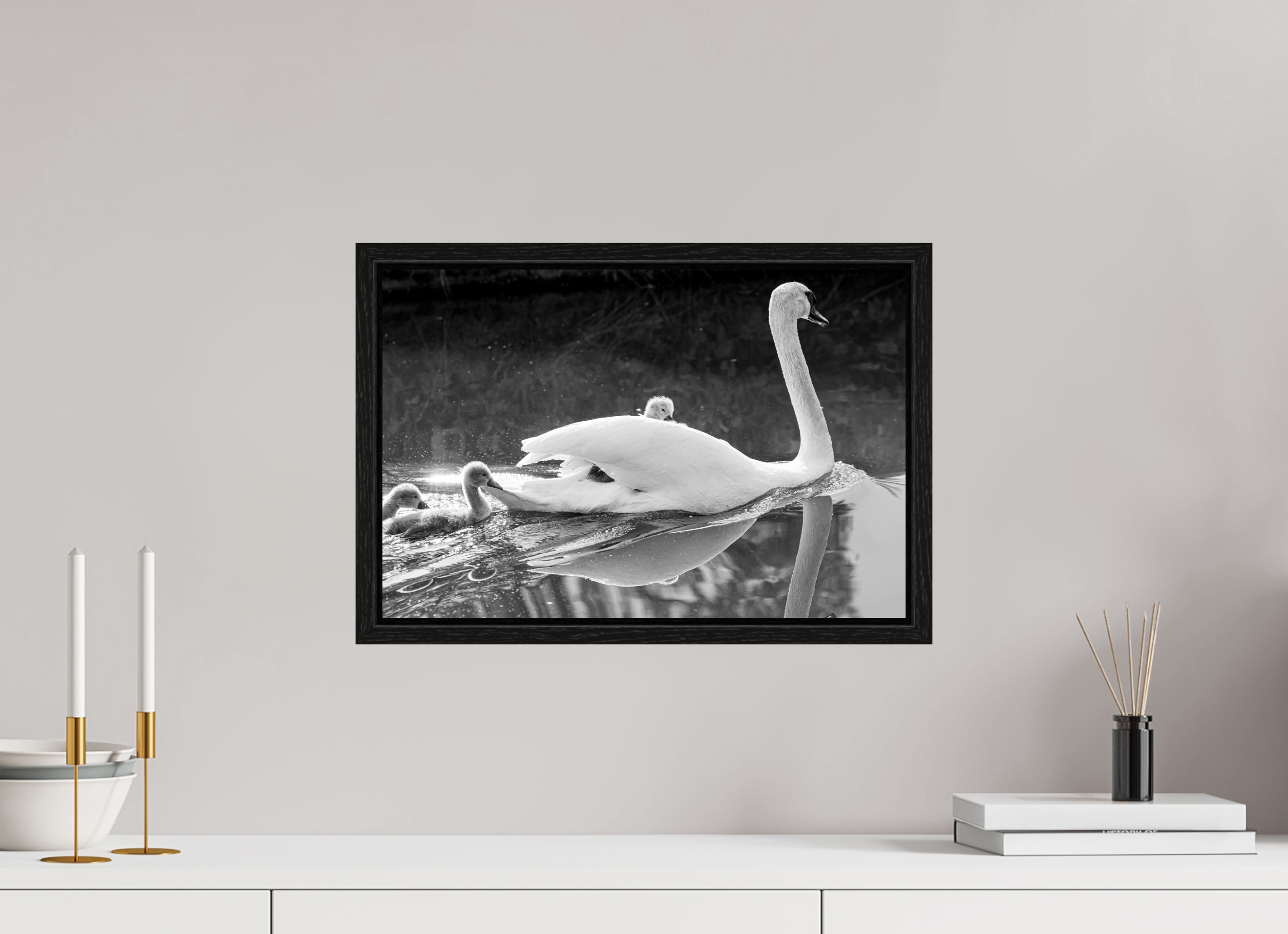 45 x 30 cm, Floater Frame Grabbing a Lift