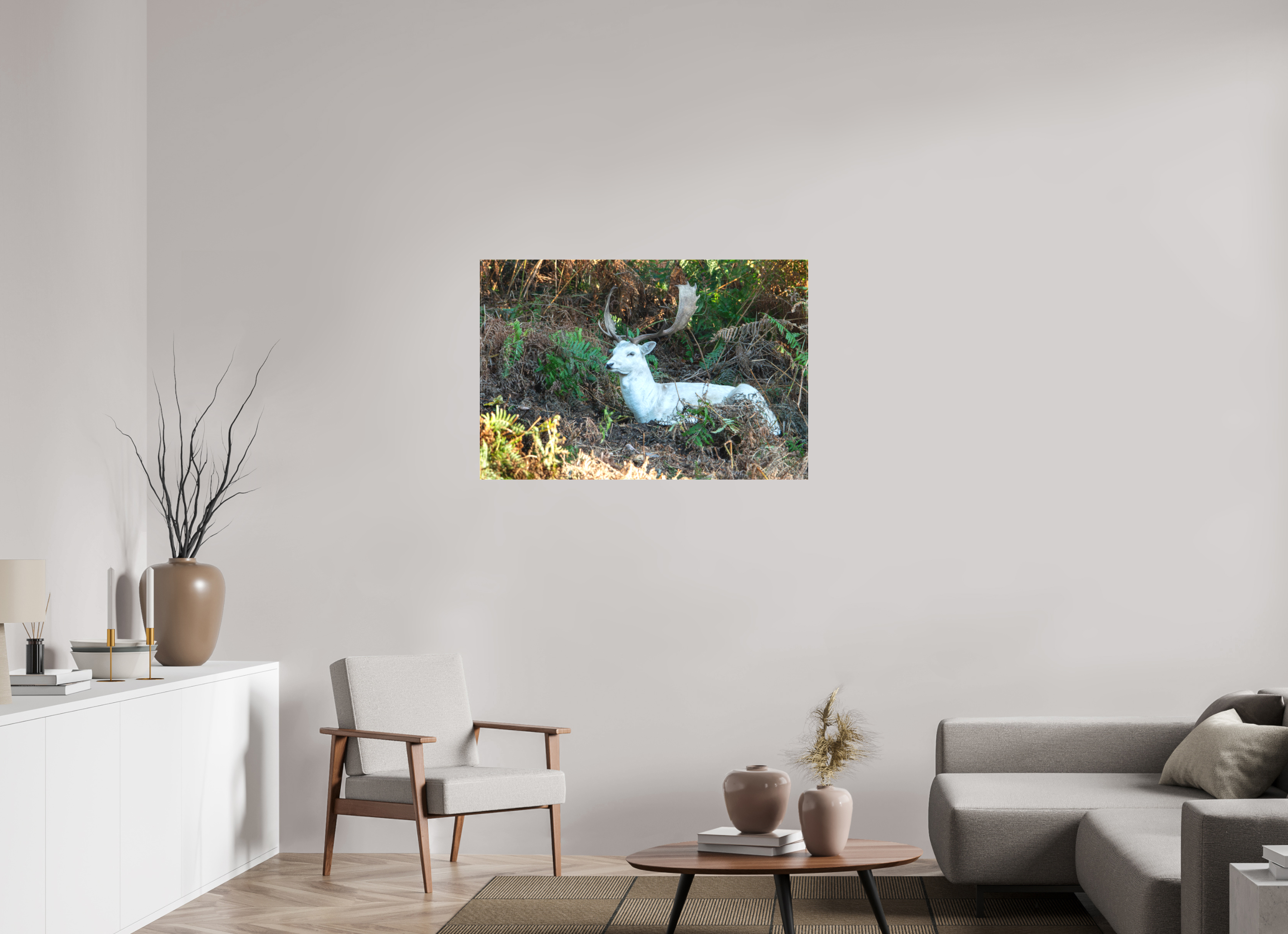 105 x 70 cm, Matte Canvas on Stretcher Frame White Fallow Deer at Rest