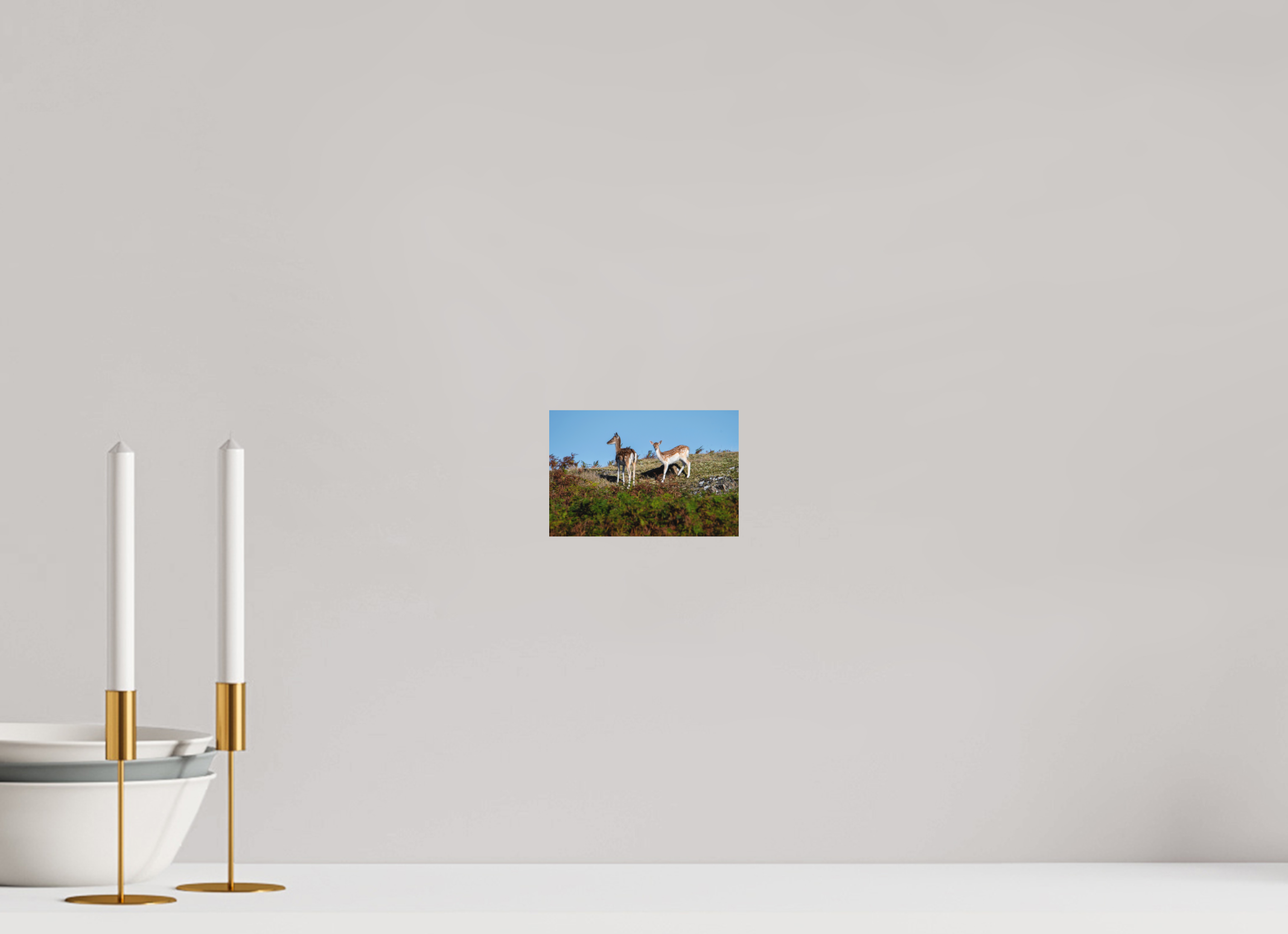 15 x 10 cm, Photo Print Fuji Crystal DP II Matte Fallow Deer on Hillside