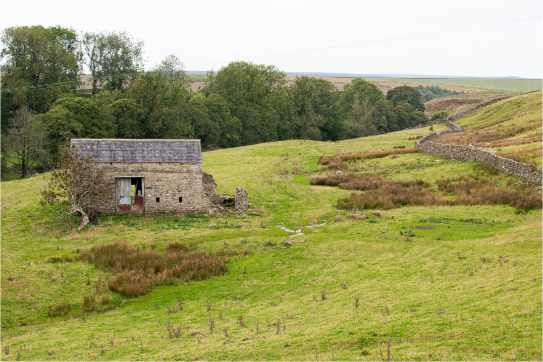 An old falling-down barn that is sitting in a green field with a dry stone wall off to the right.