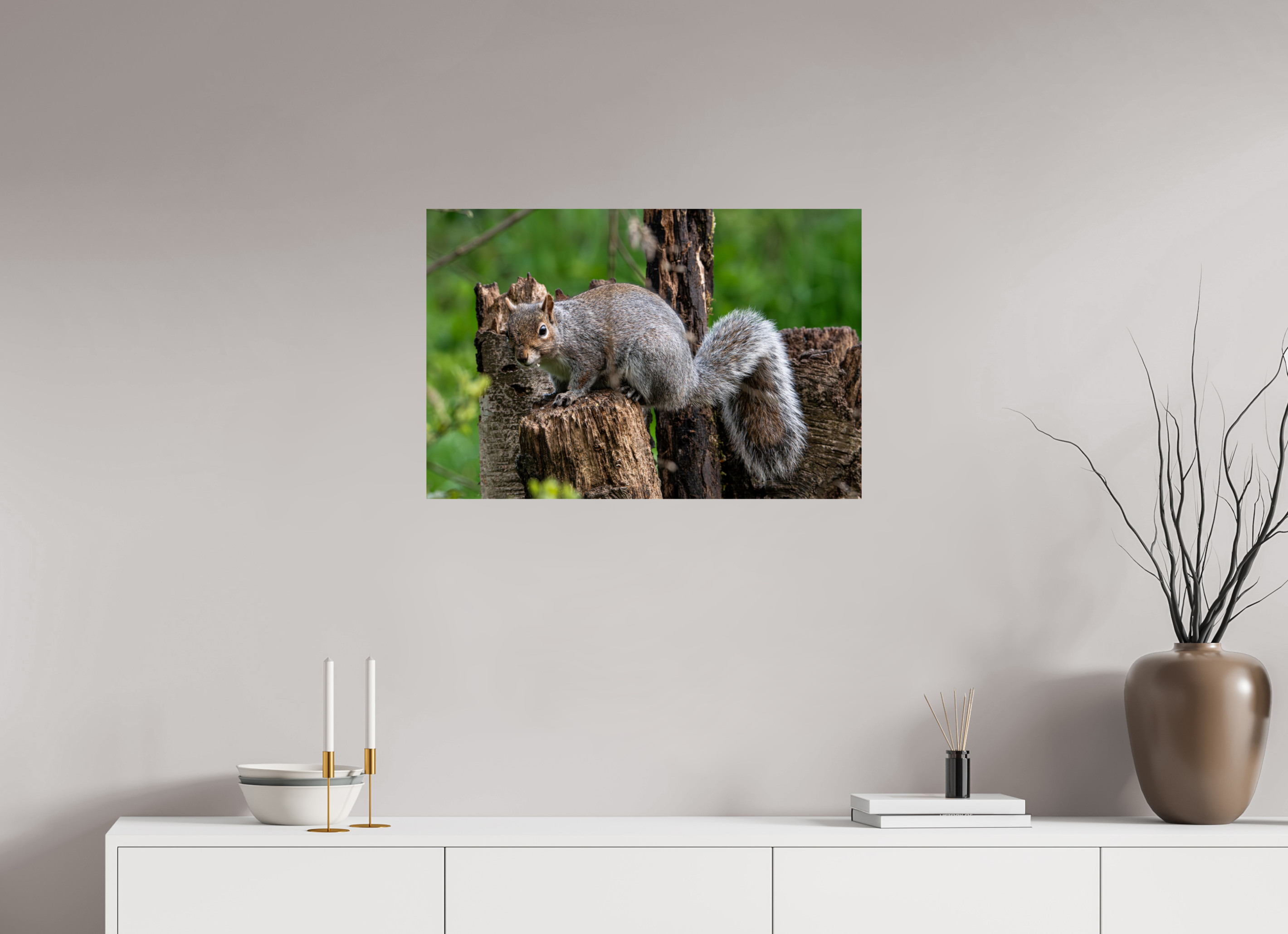 75 x 50 cm, Photo Print On Fuji Crystal DP II Grey Squirrel
