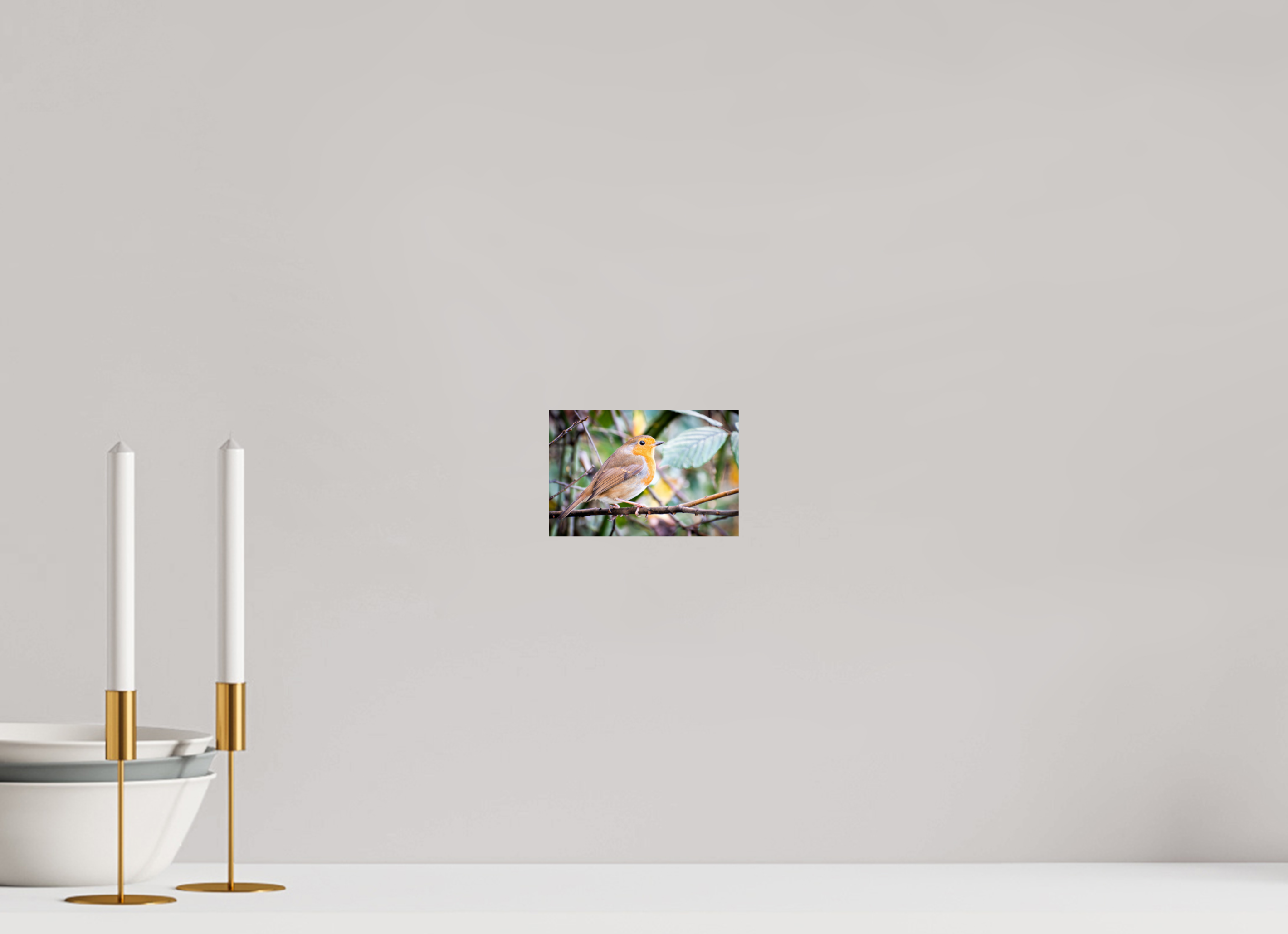 15 x 10 cm, Photo Print On Fuji Crystal DP II Robin