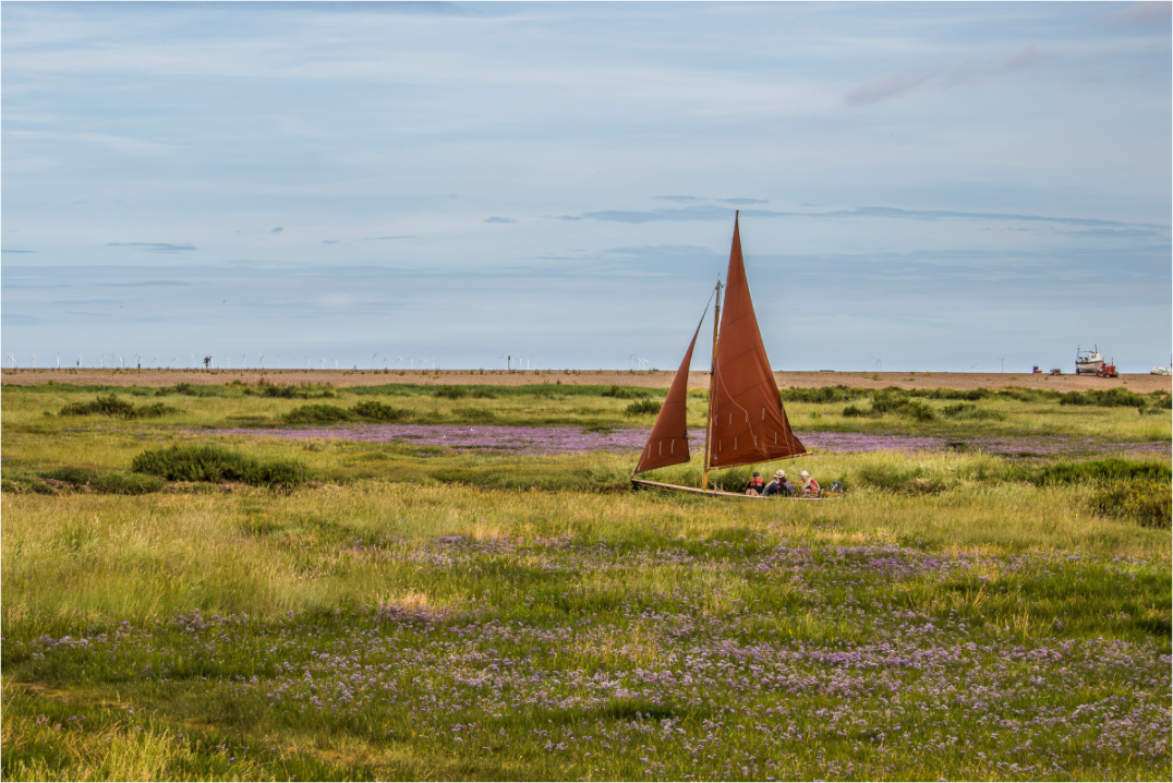 A sailing boat, with brown sails, sailing on a hidden river making the boat look like it is sailing on grass.